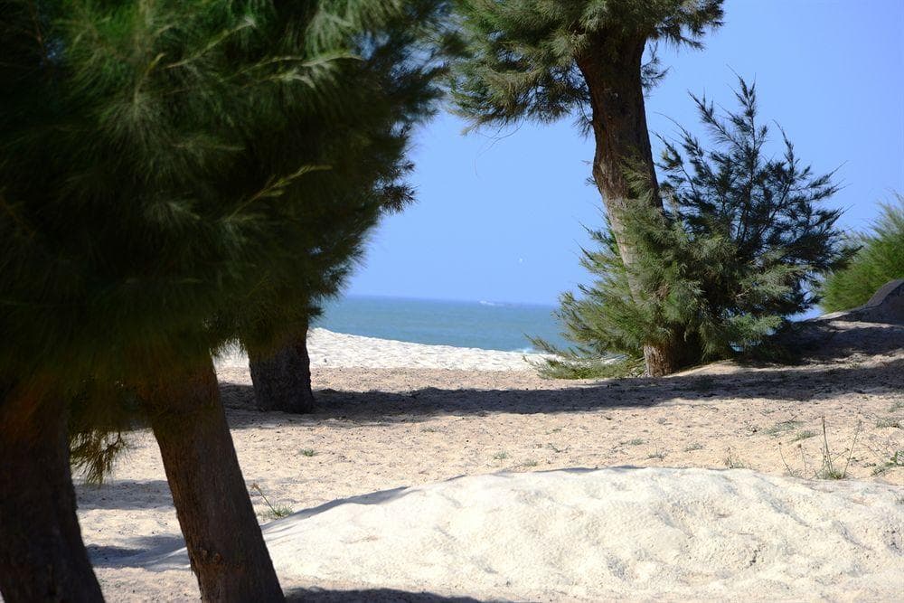 Mermoz
