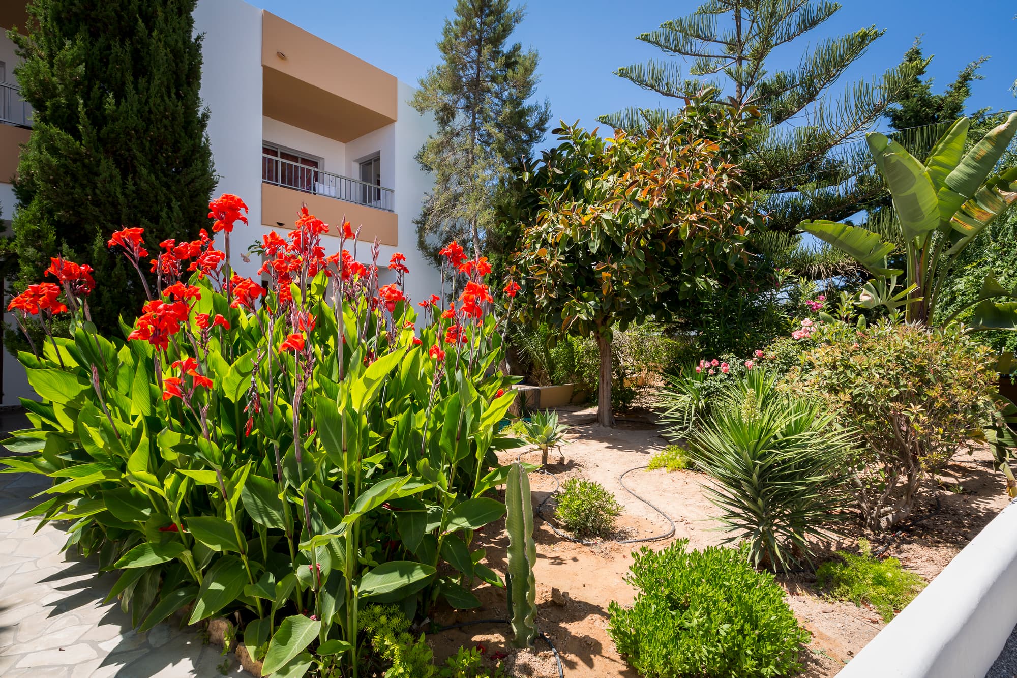 Zodiac Apartamentos