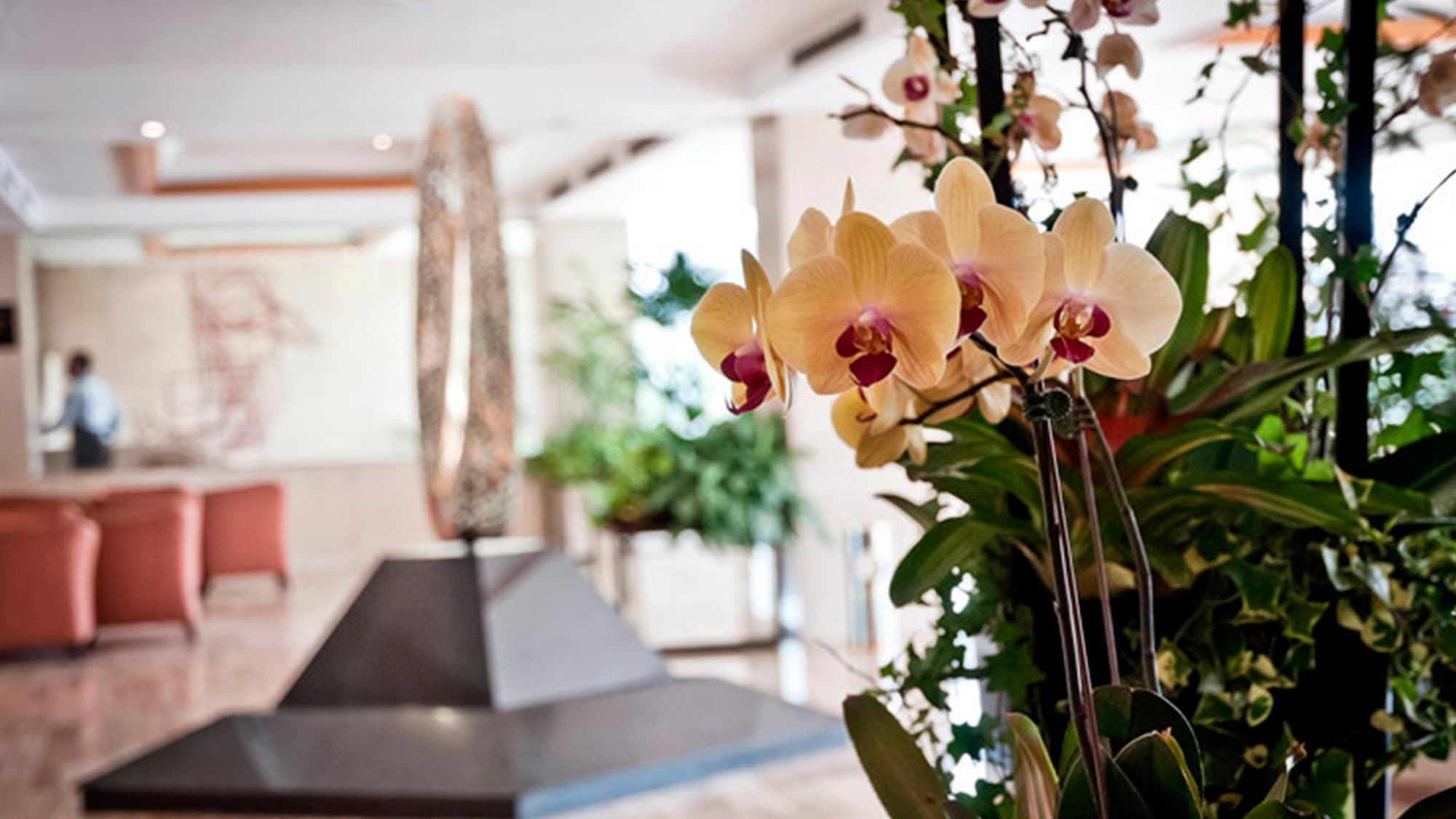 Hotel Tamanaco Caracas, Lobby