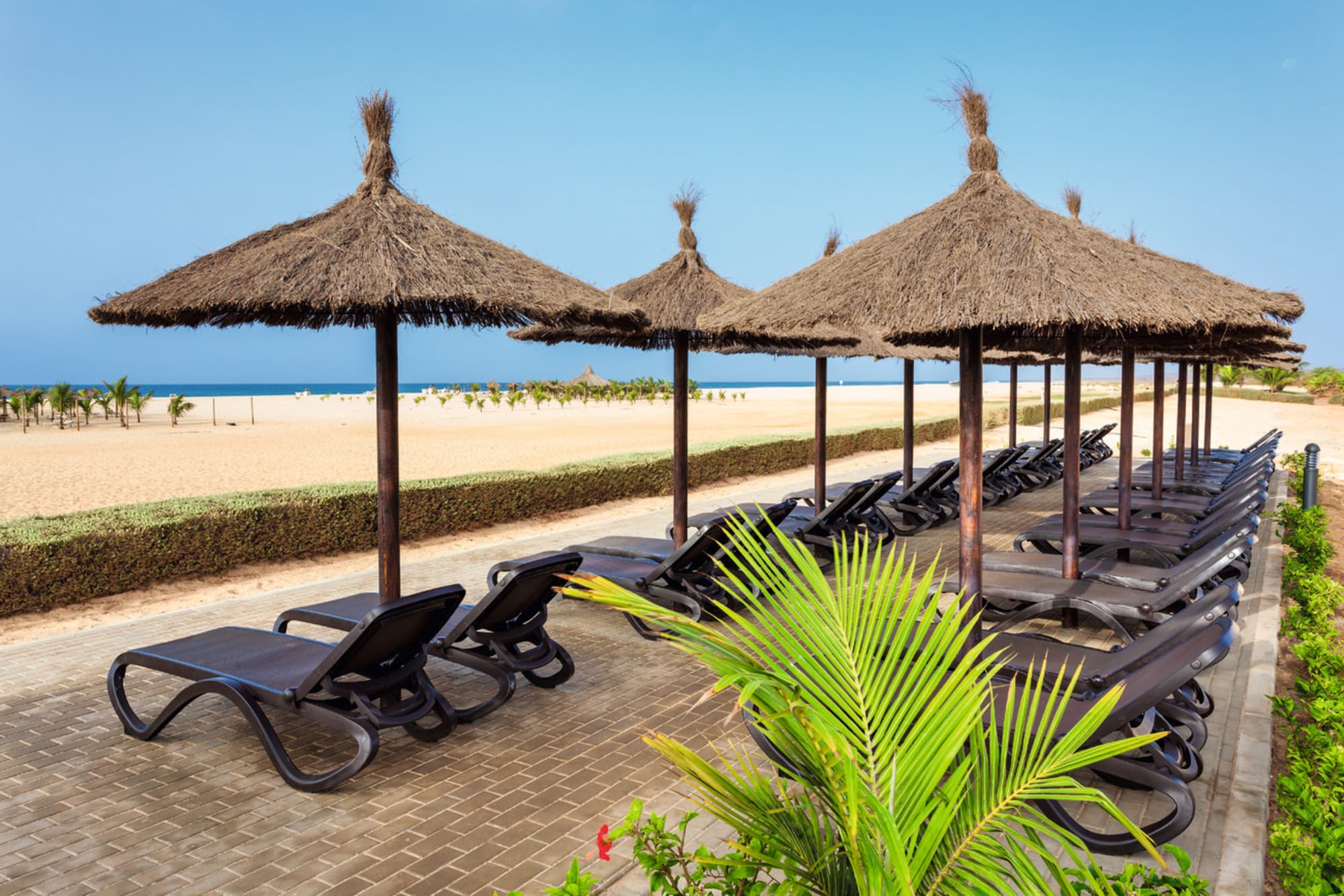 Hotel Riu Touareg - All Inclusive