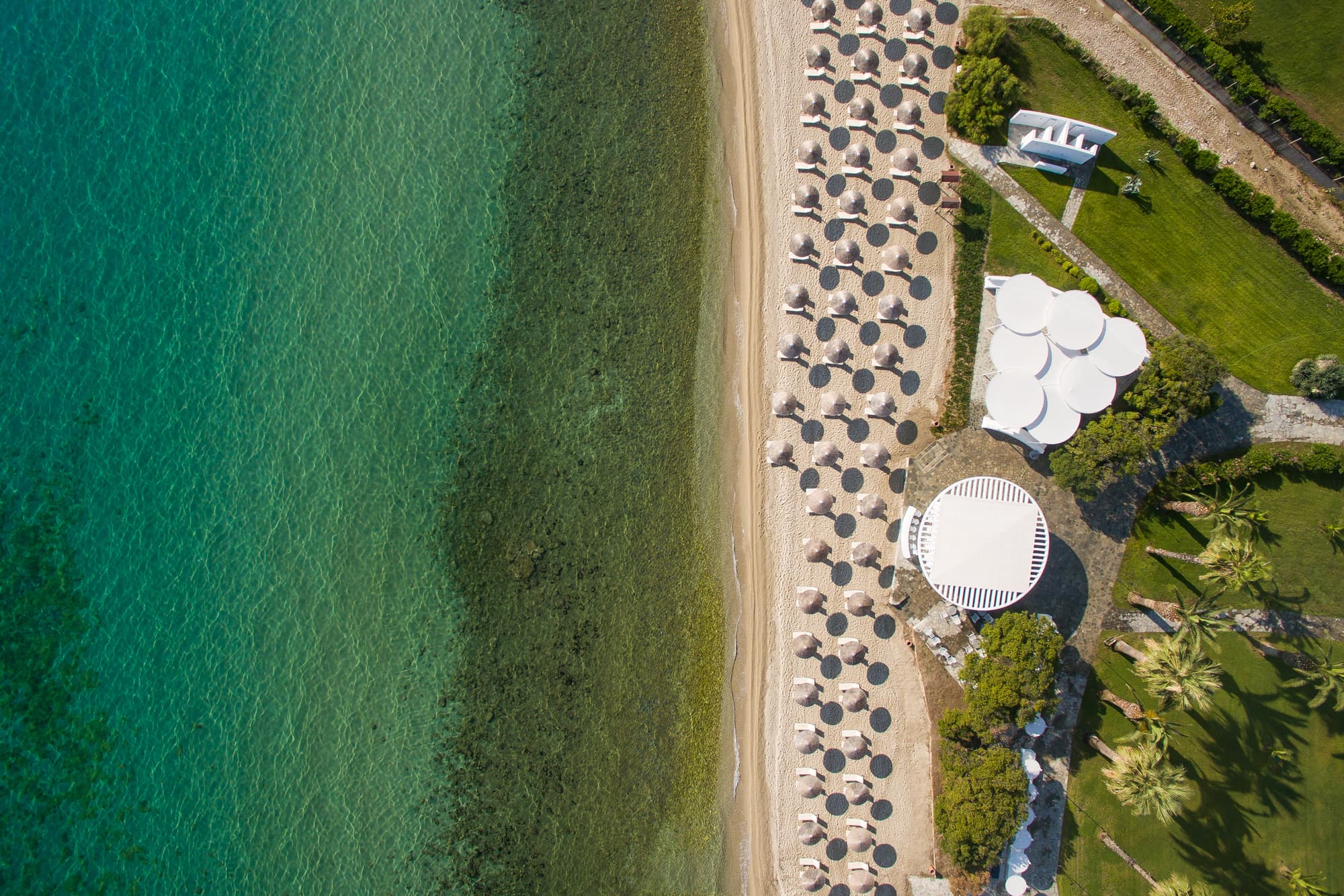 Kassandra Palace SeaSide Resort