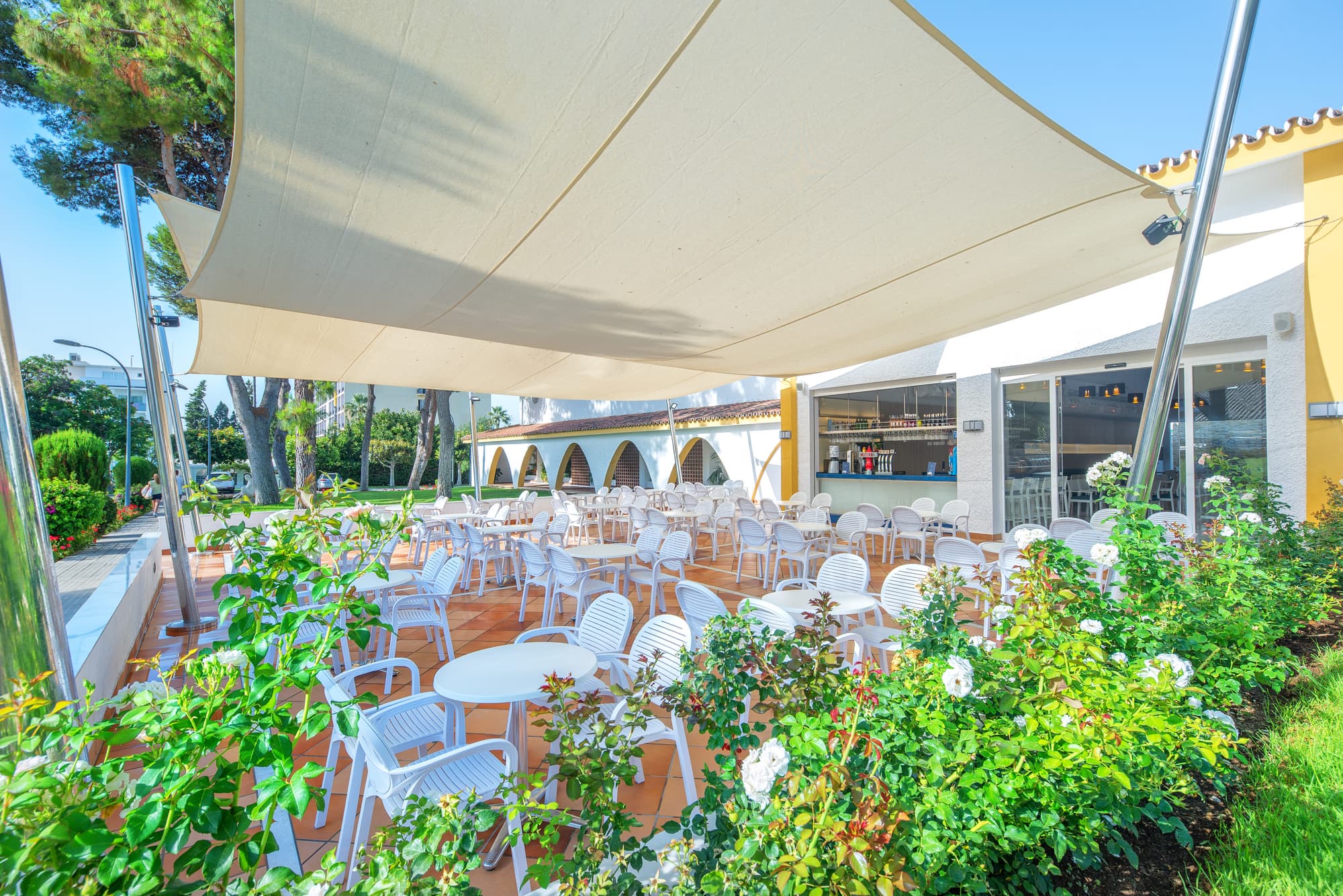 Globales Playa Estepona, Bar