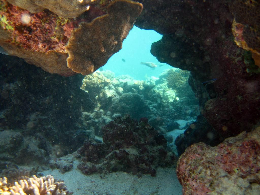 Ningaloo Coral Bay - Bayview