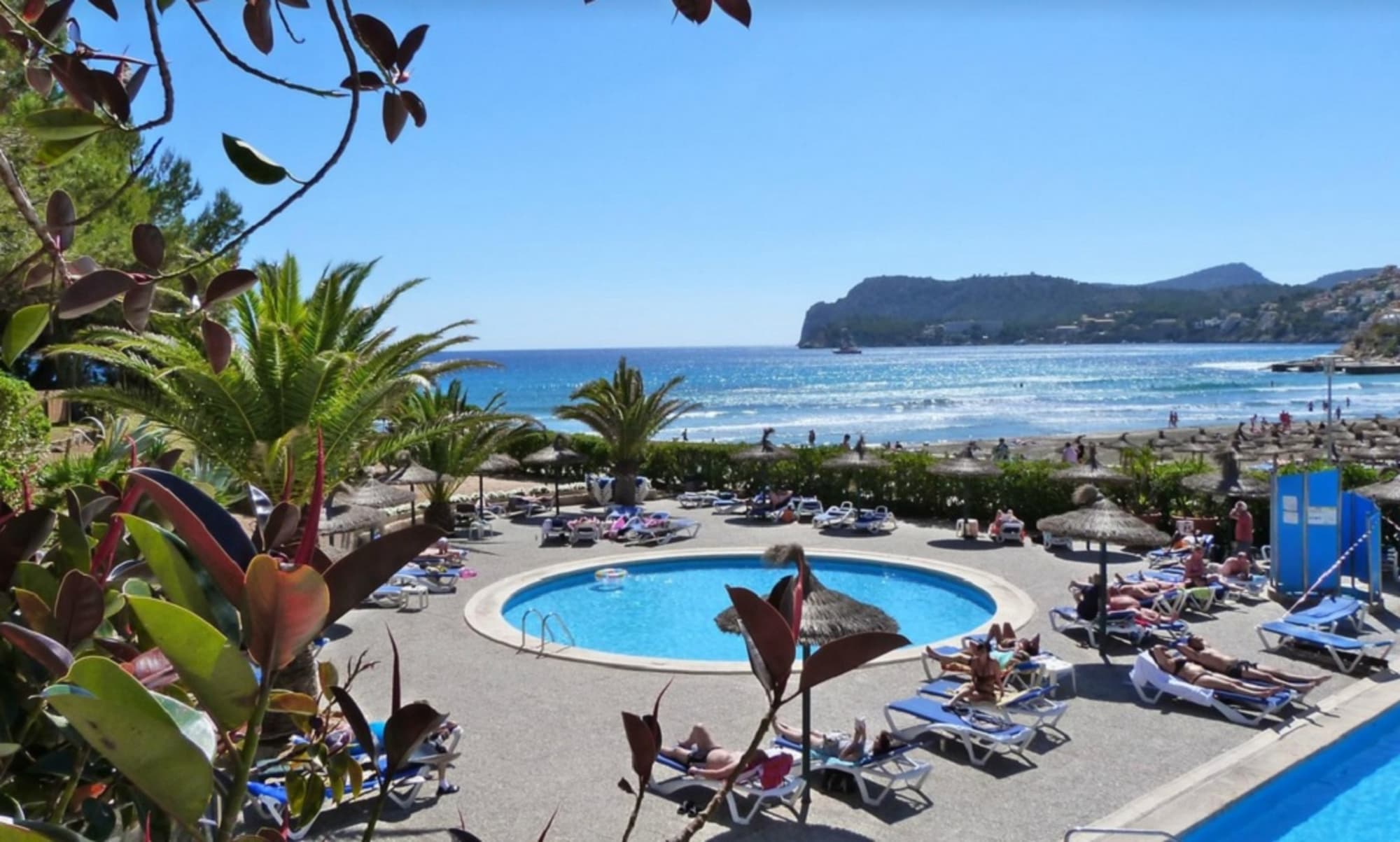 Beverly Playa