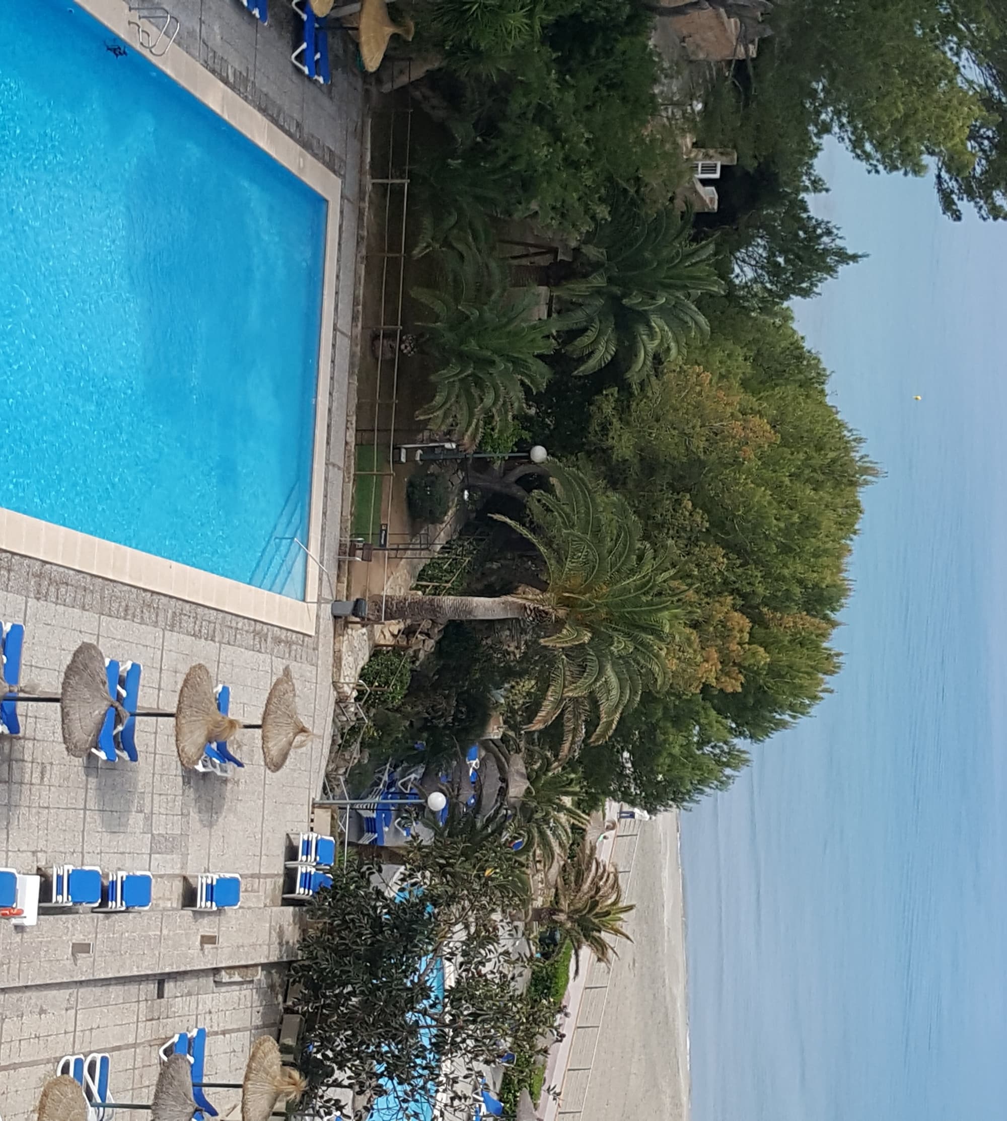 Beverly Playa