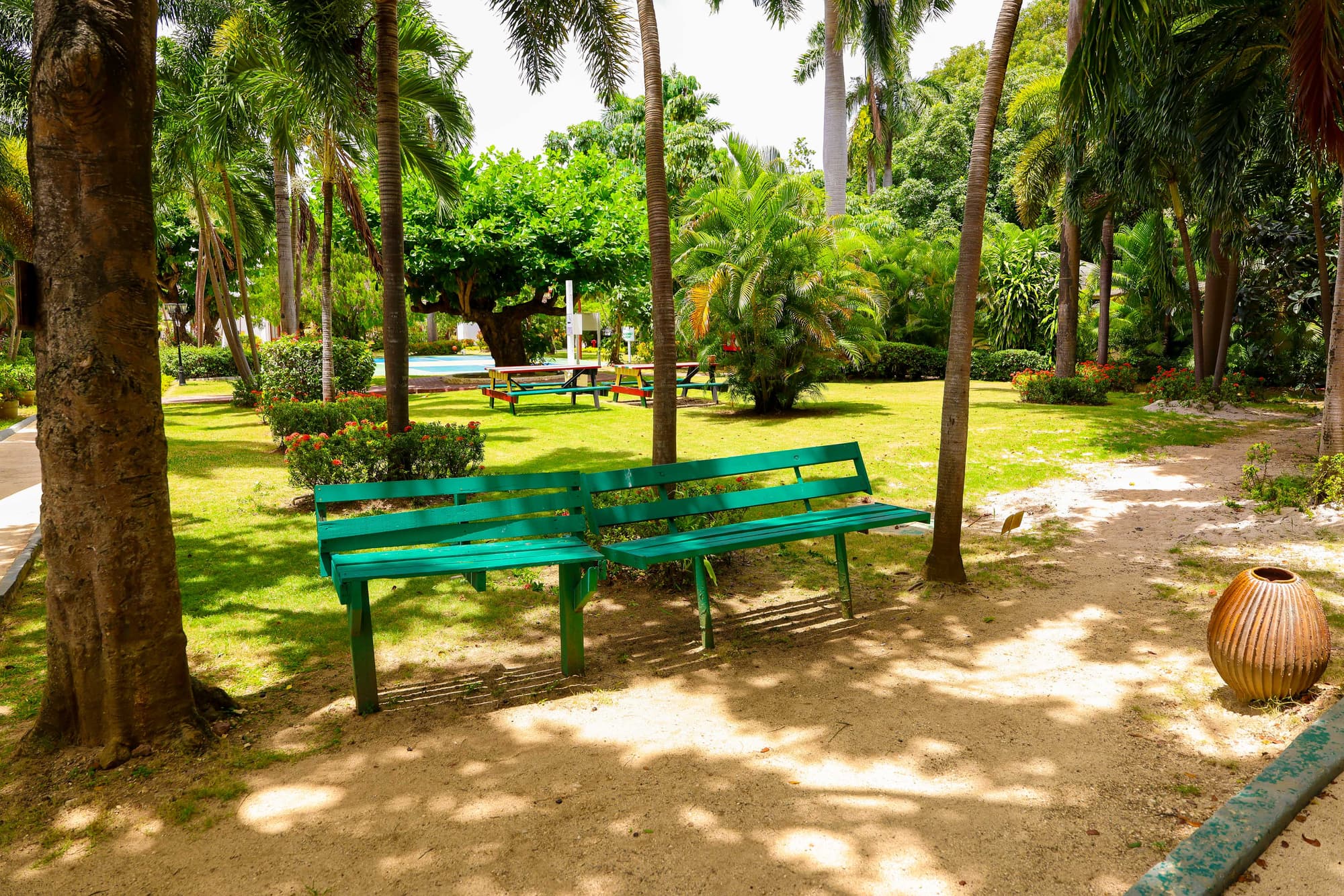 Grand Decameron Montego Beach, A Trademark All Inc