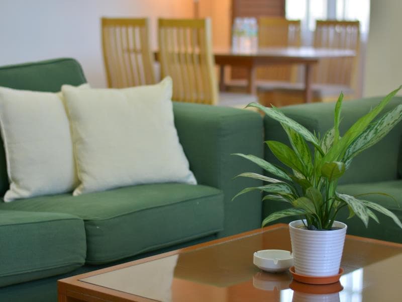 The Maple Suite
