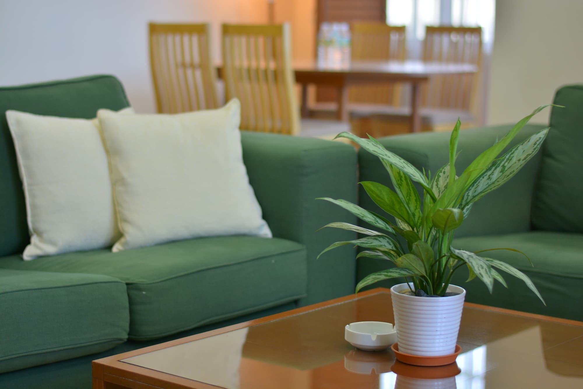 The Maple Suite