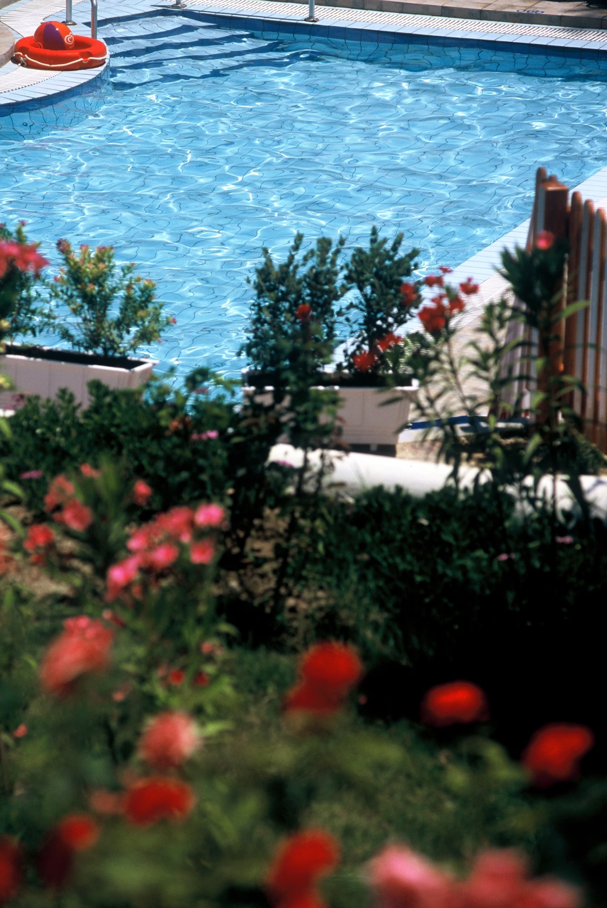 Katerina Palace Hotel, Terrace