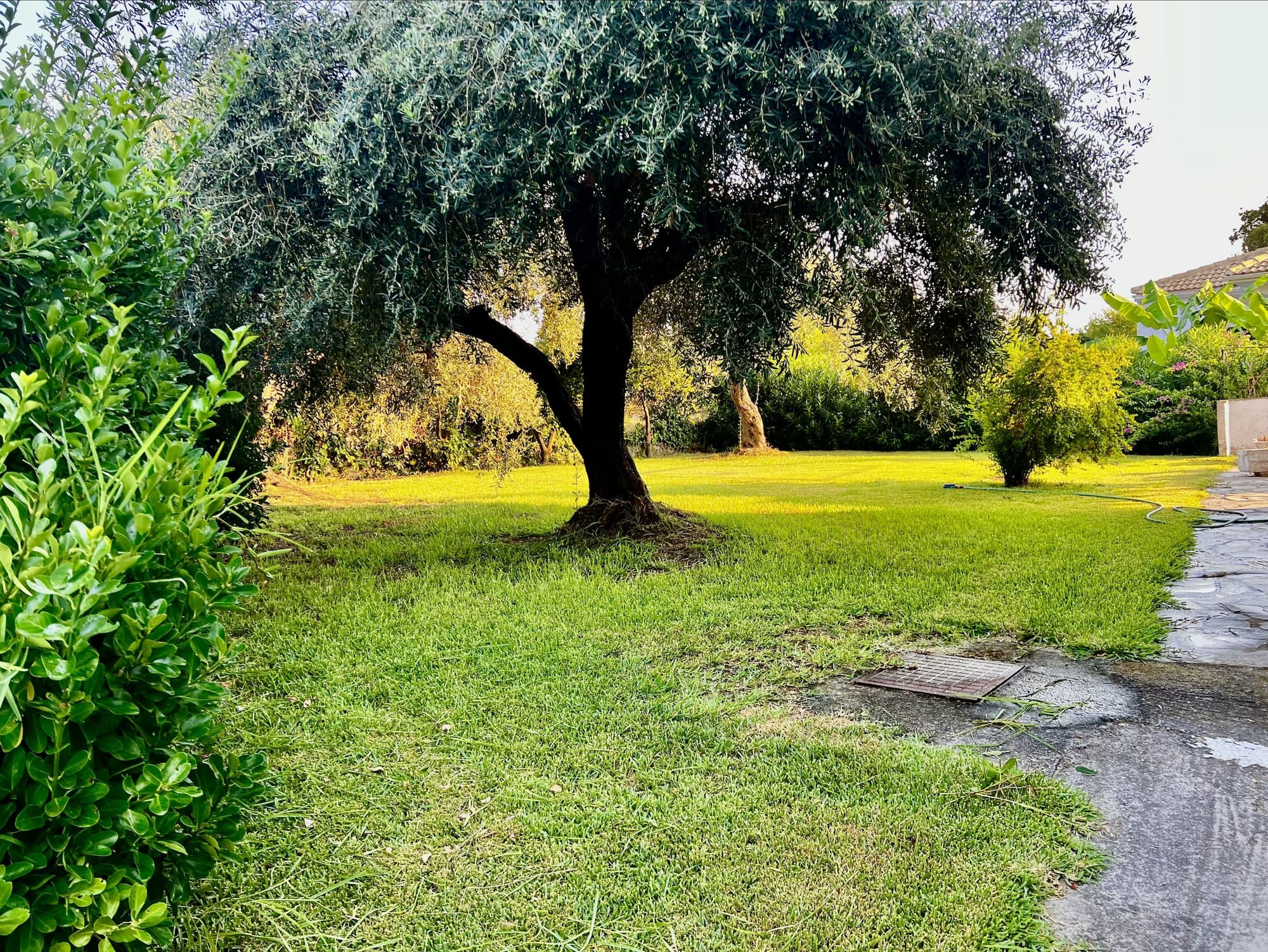 Bruskos Hotel & Suites