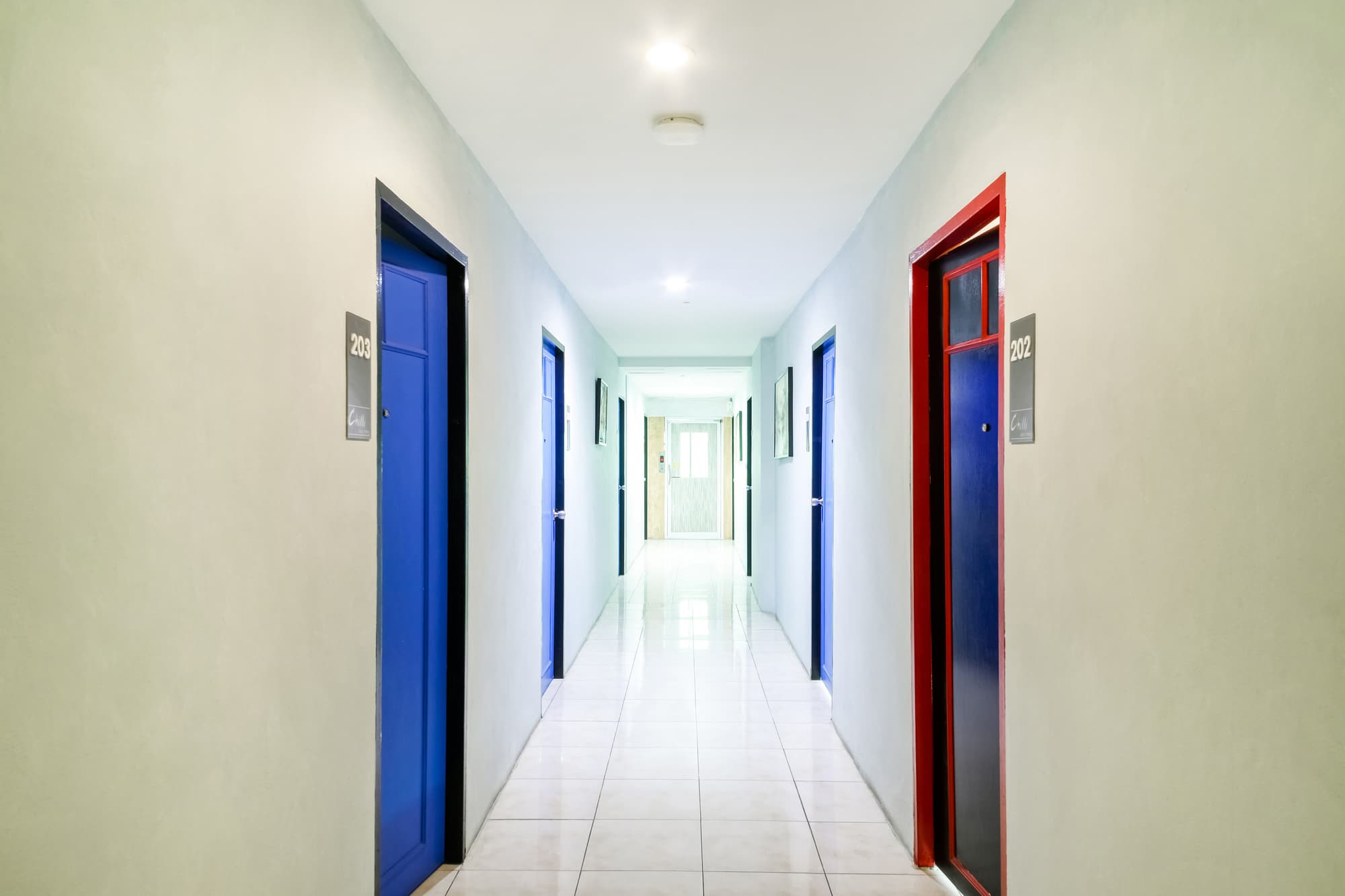 The Chilli Salza Patong