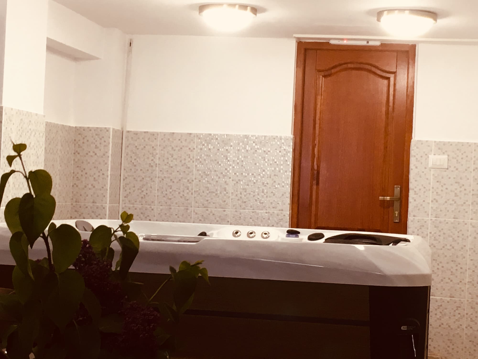 Leaganul Bucovinei Guest House