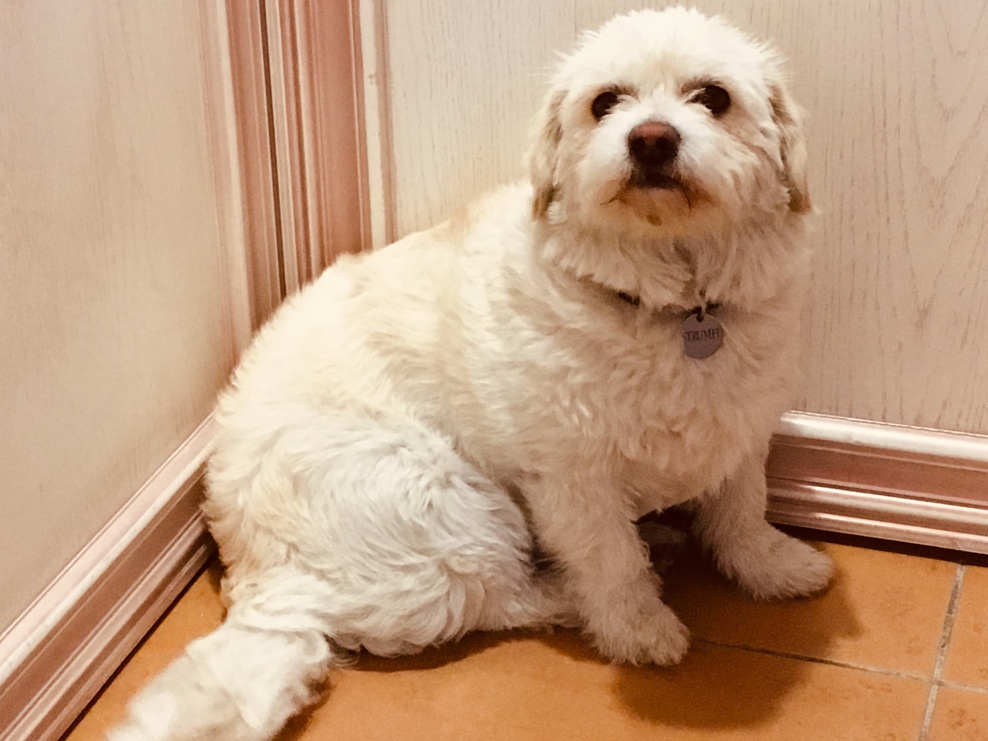 Leaganul Bucovinei Guest House