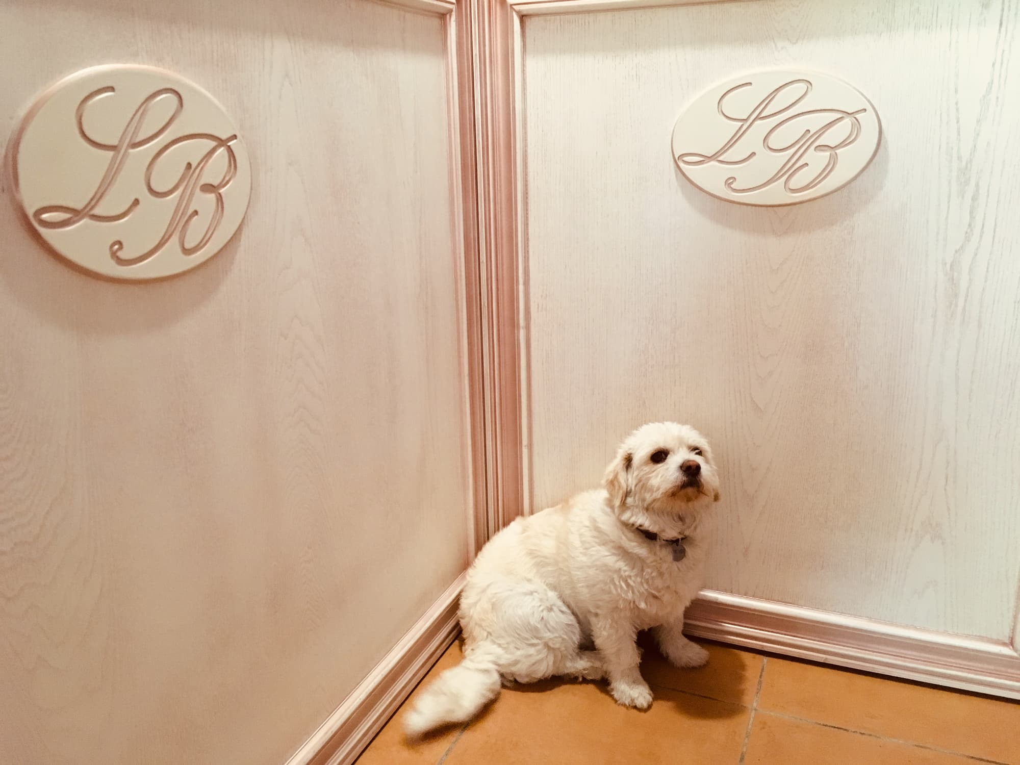 Leaganul Bucovinei Guest House