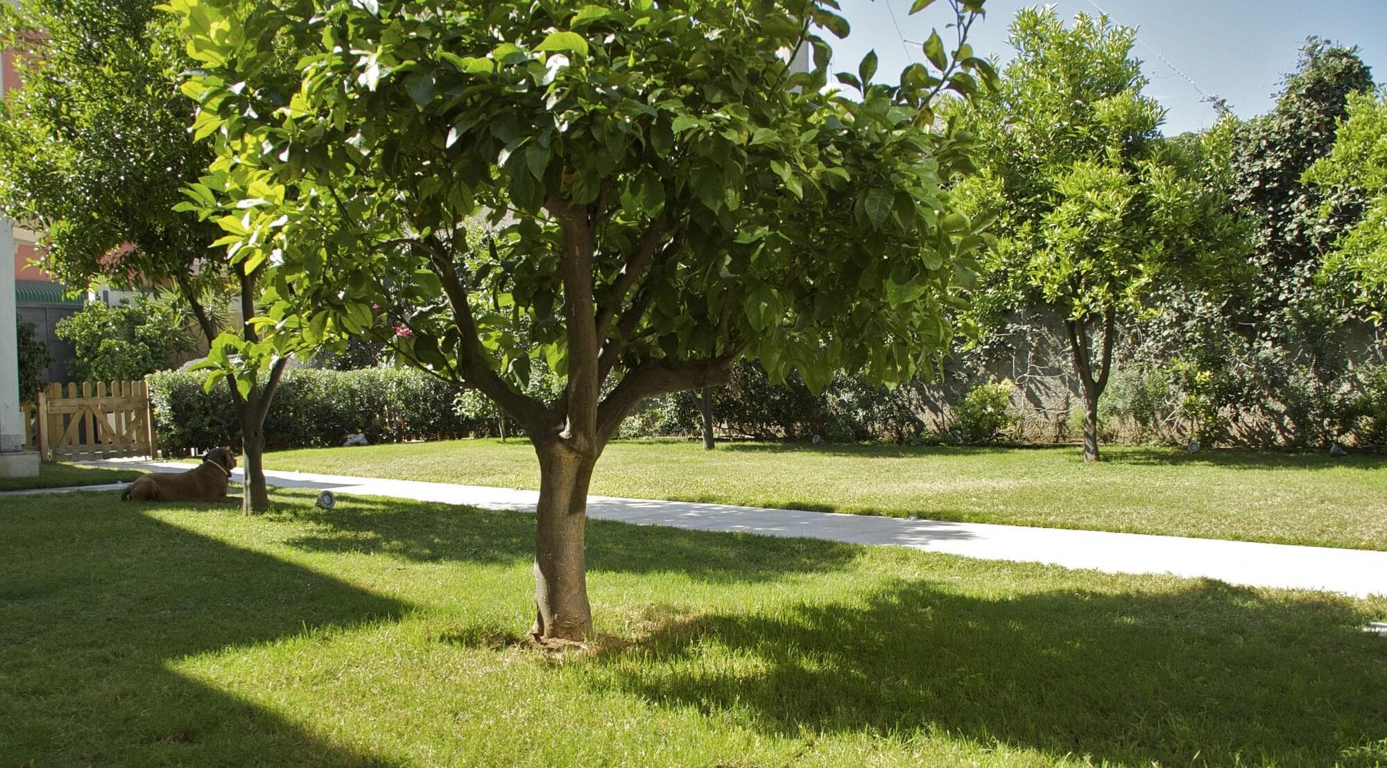 La Peonia Bed & Breakfast Di Charme
