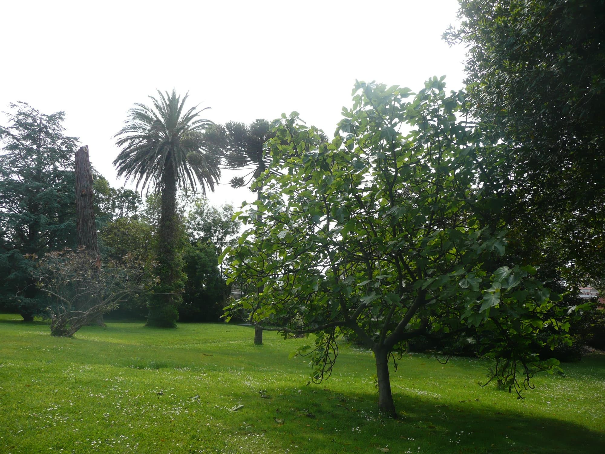 Hotel Escuela Las Carolinas