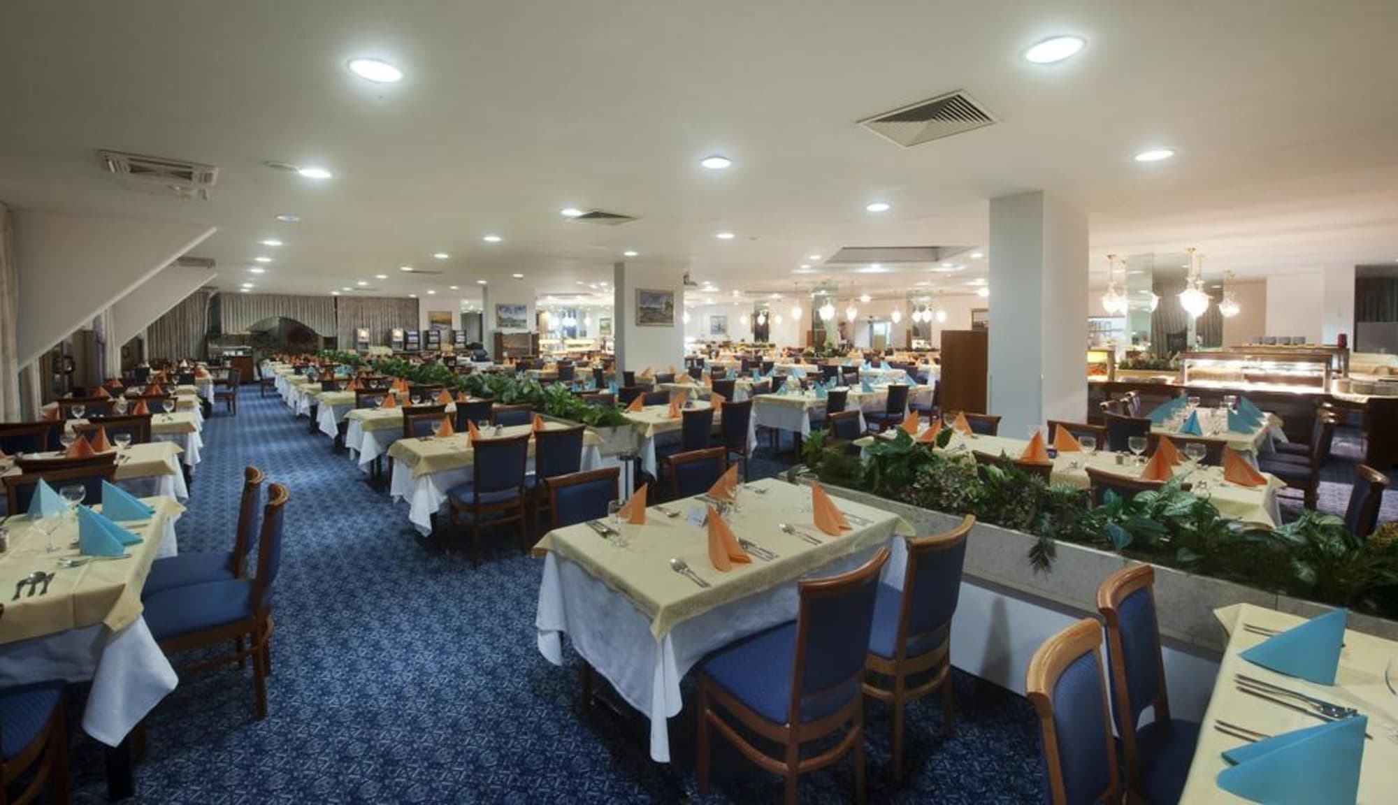 Vile Park Hotel