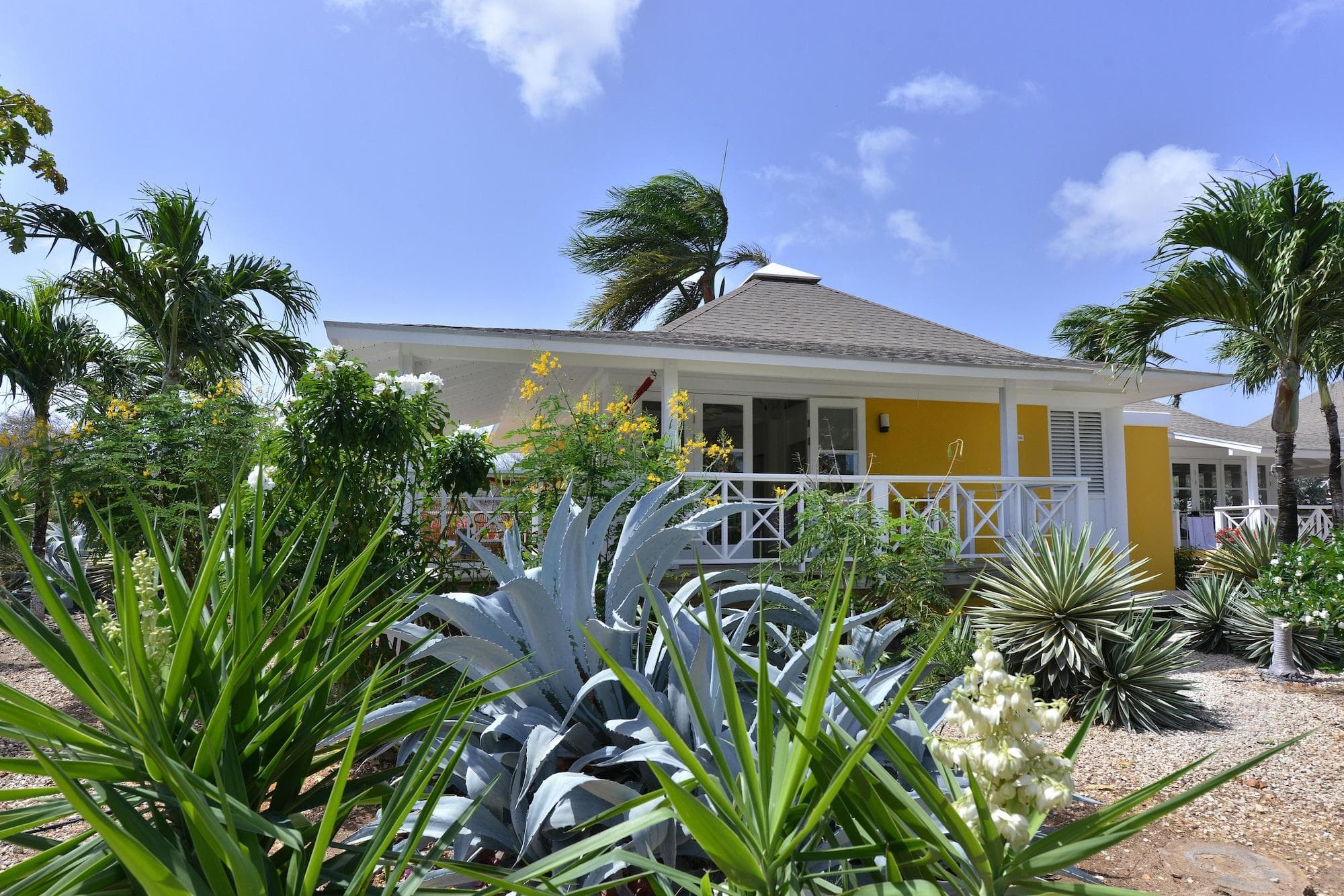 Chogogo Resort
