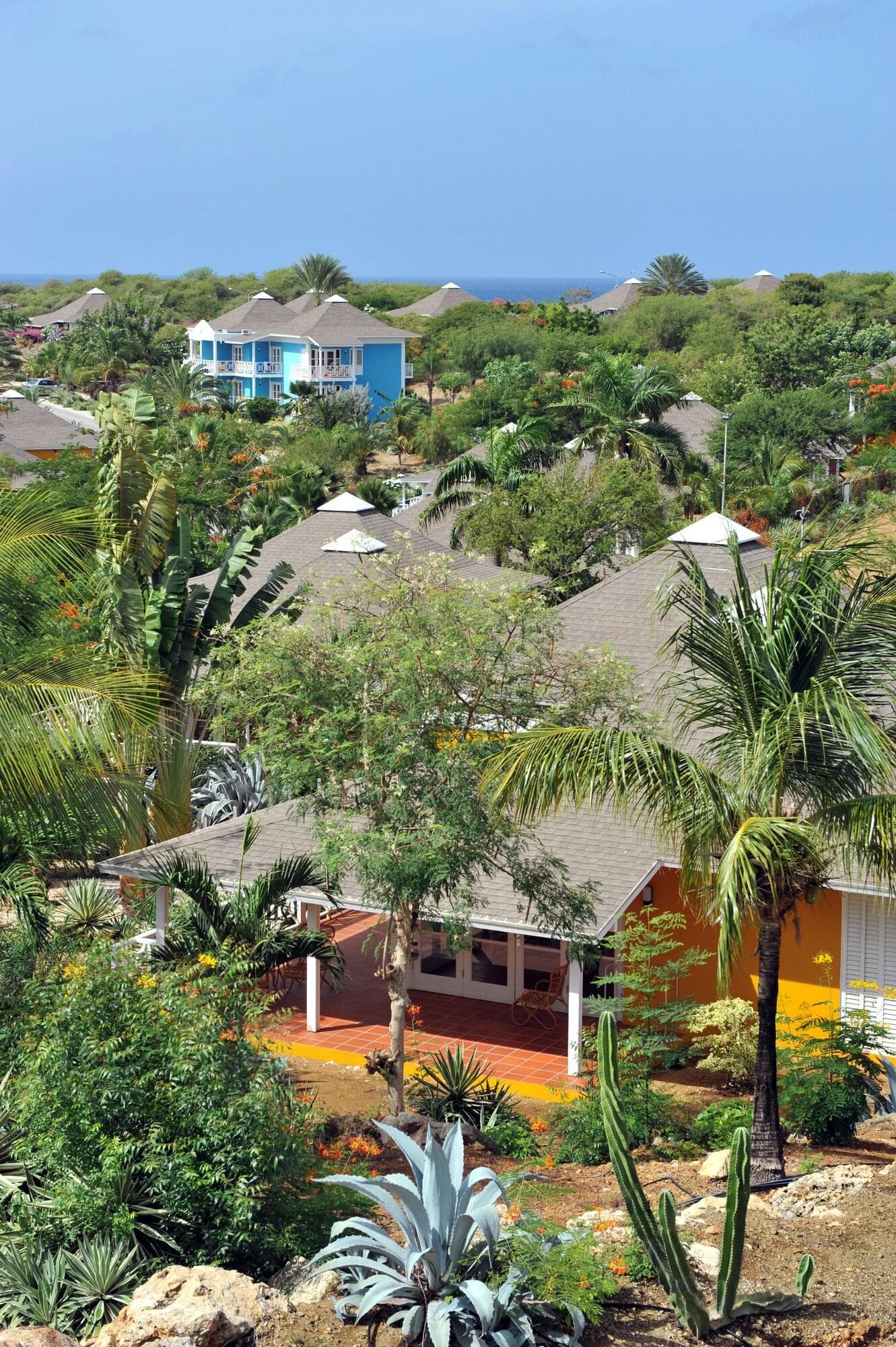 Chogogo Resort