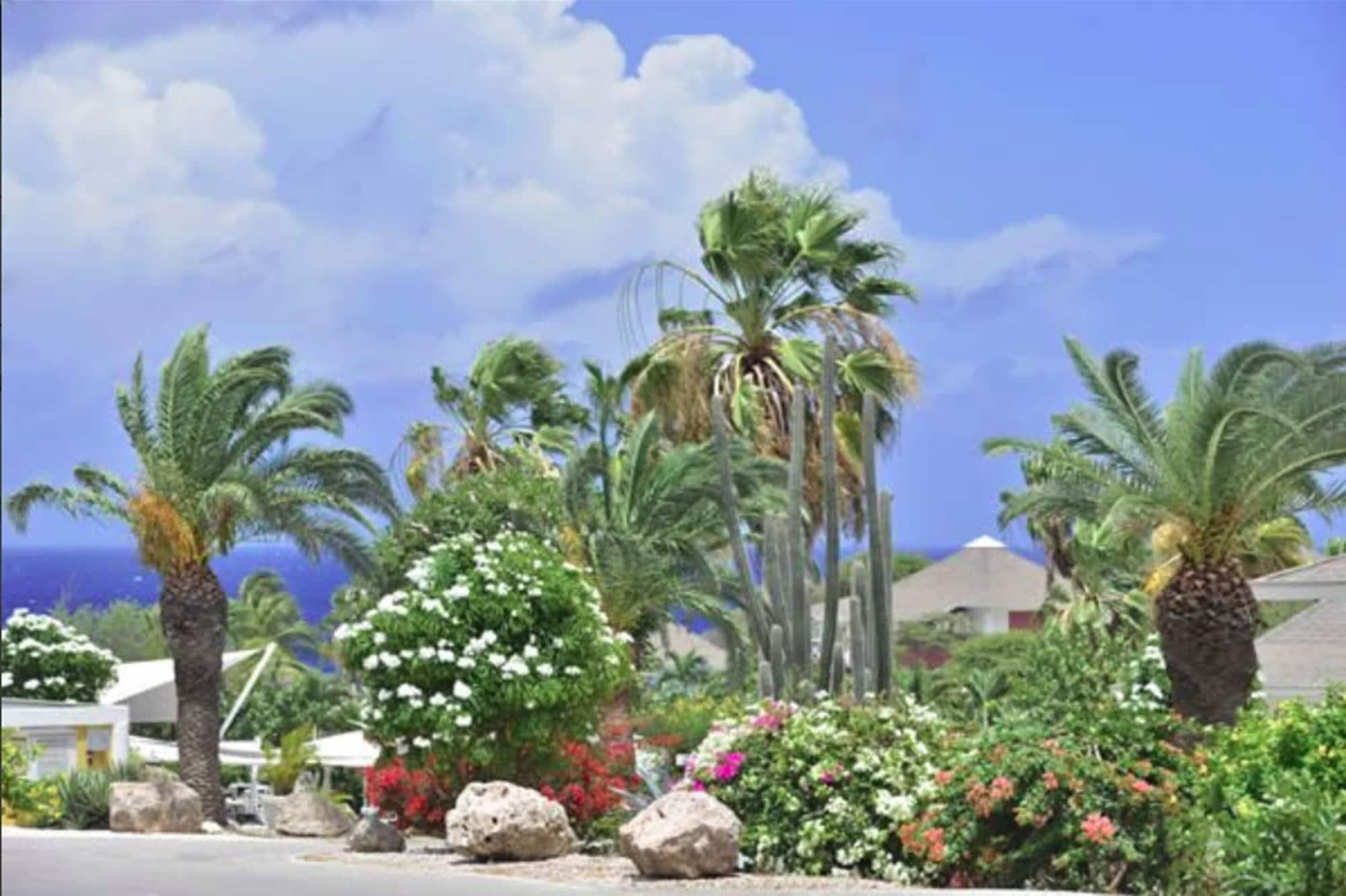 Chogogo Resort