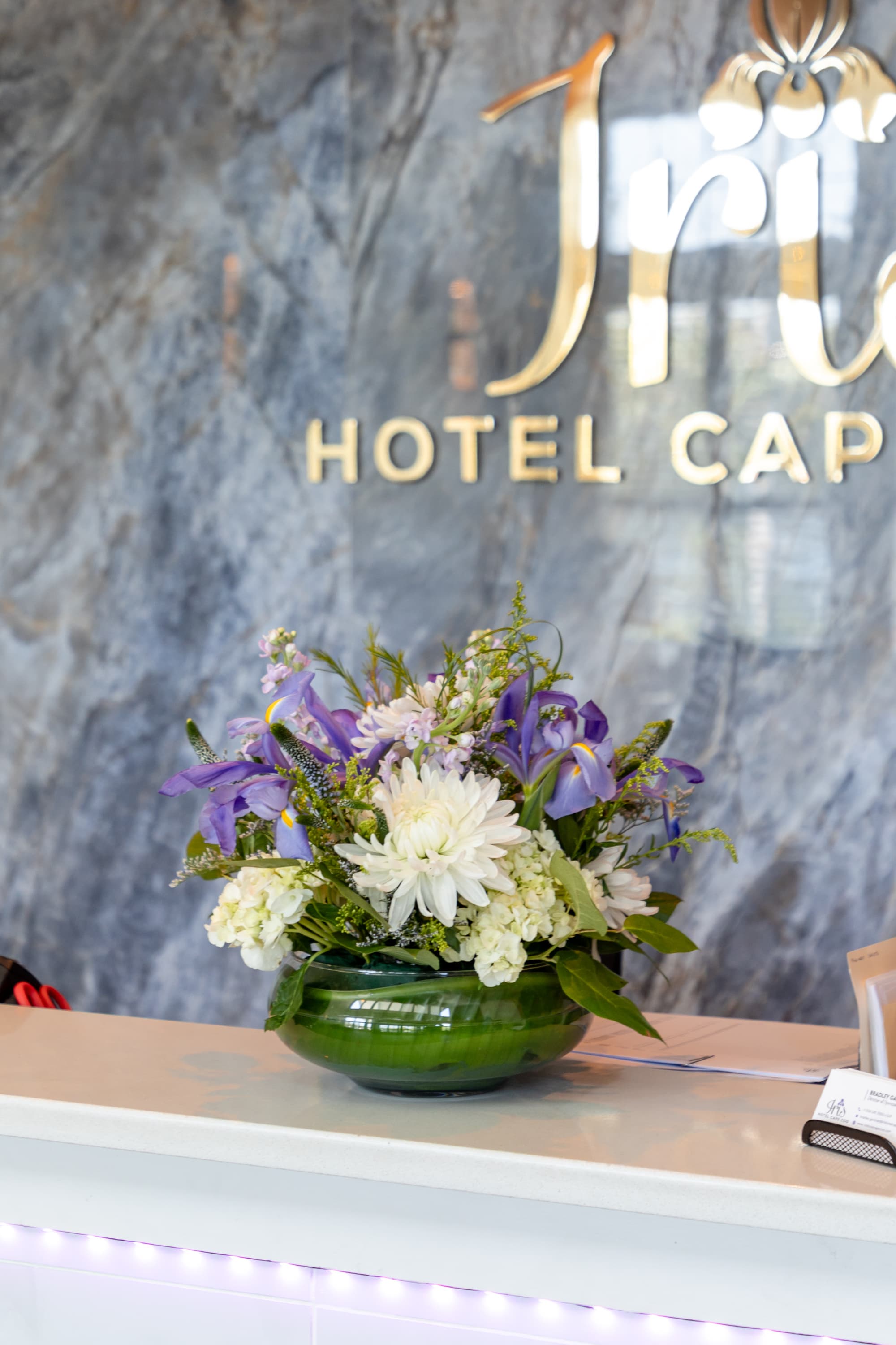 Iris Hotel-Cape Cod- Falmouth