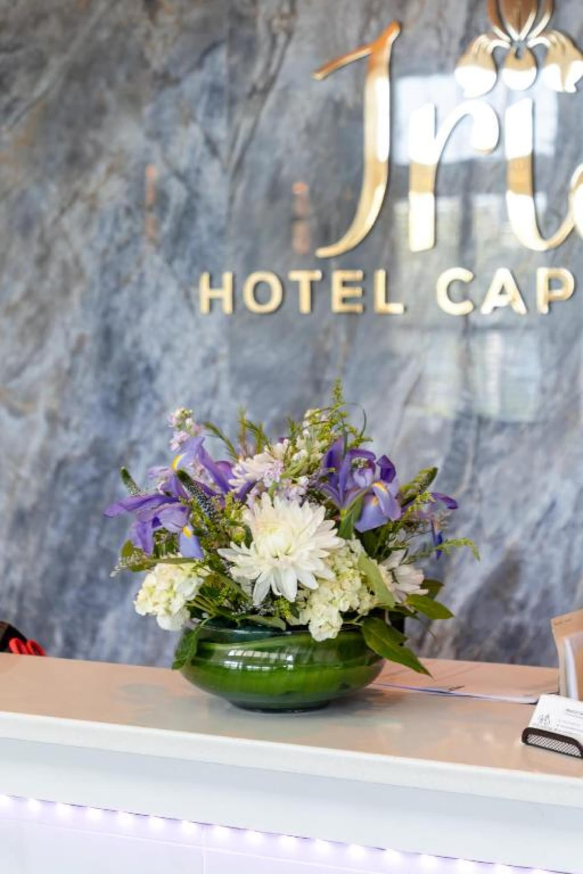 Iris Hotel-Cape Cod- Falmouth