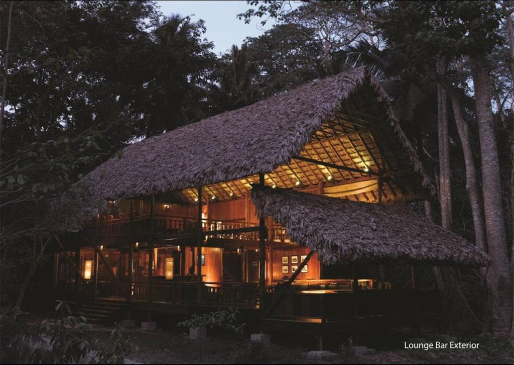 The Barefoot At Havelock