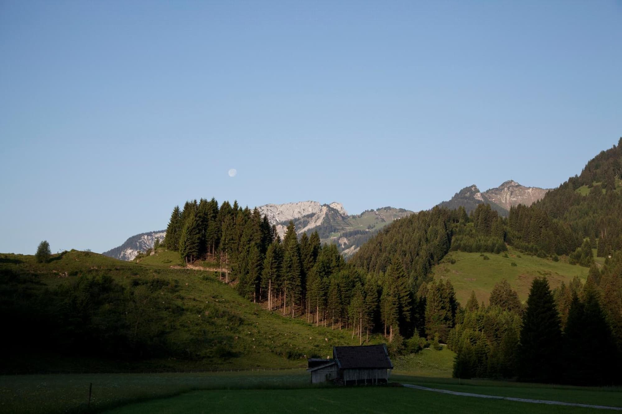 Der Tannenhof