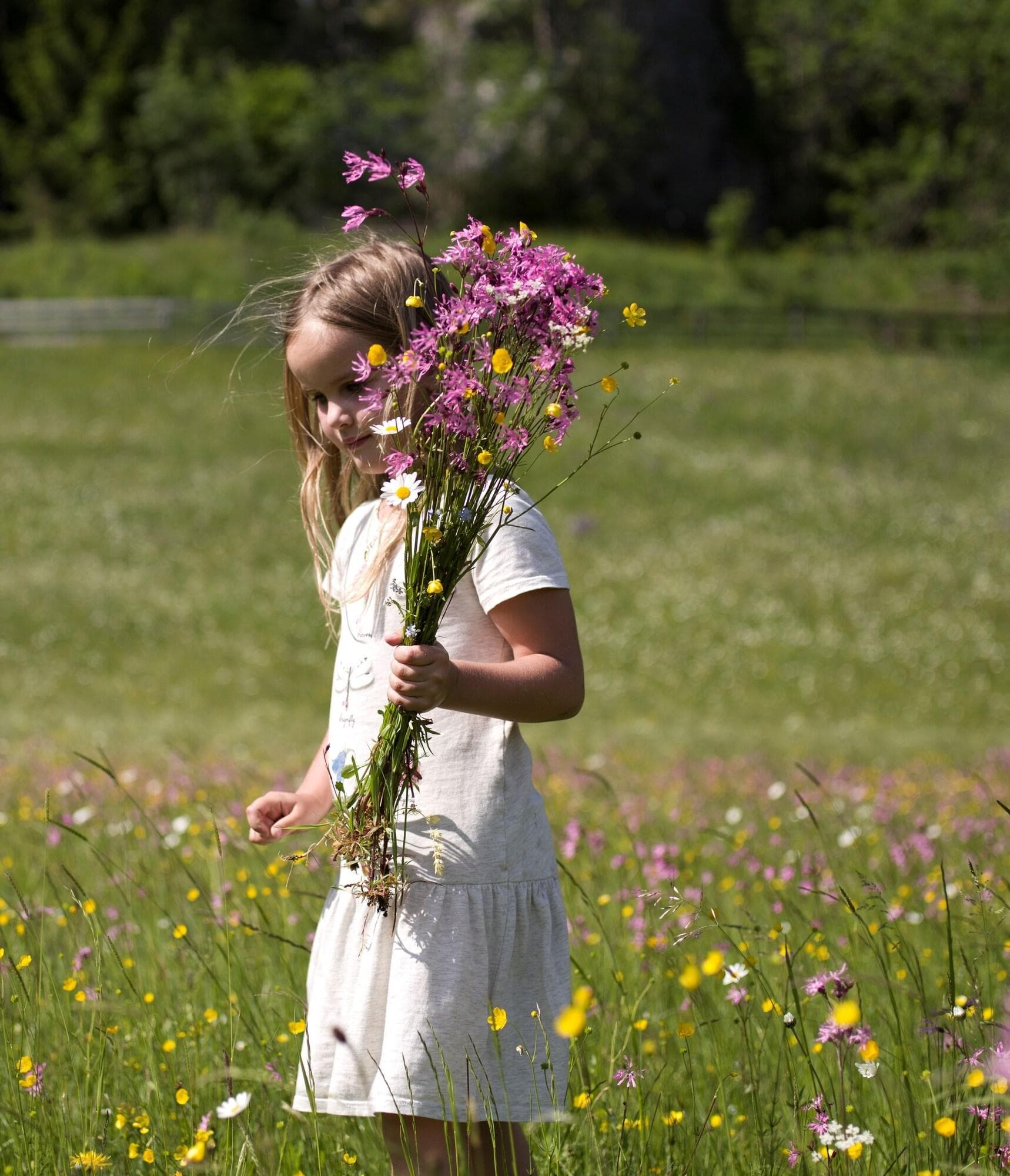 Der Tannenhof, Terrace