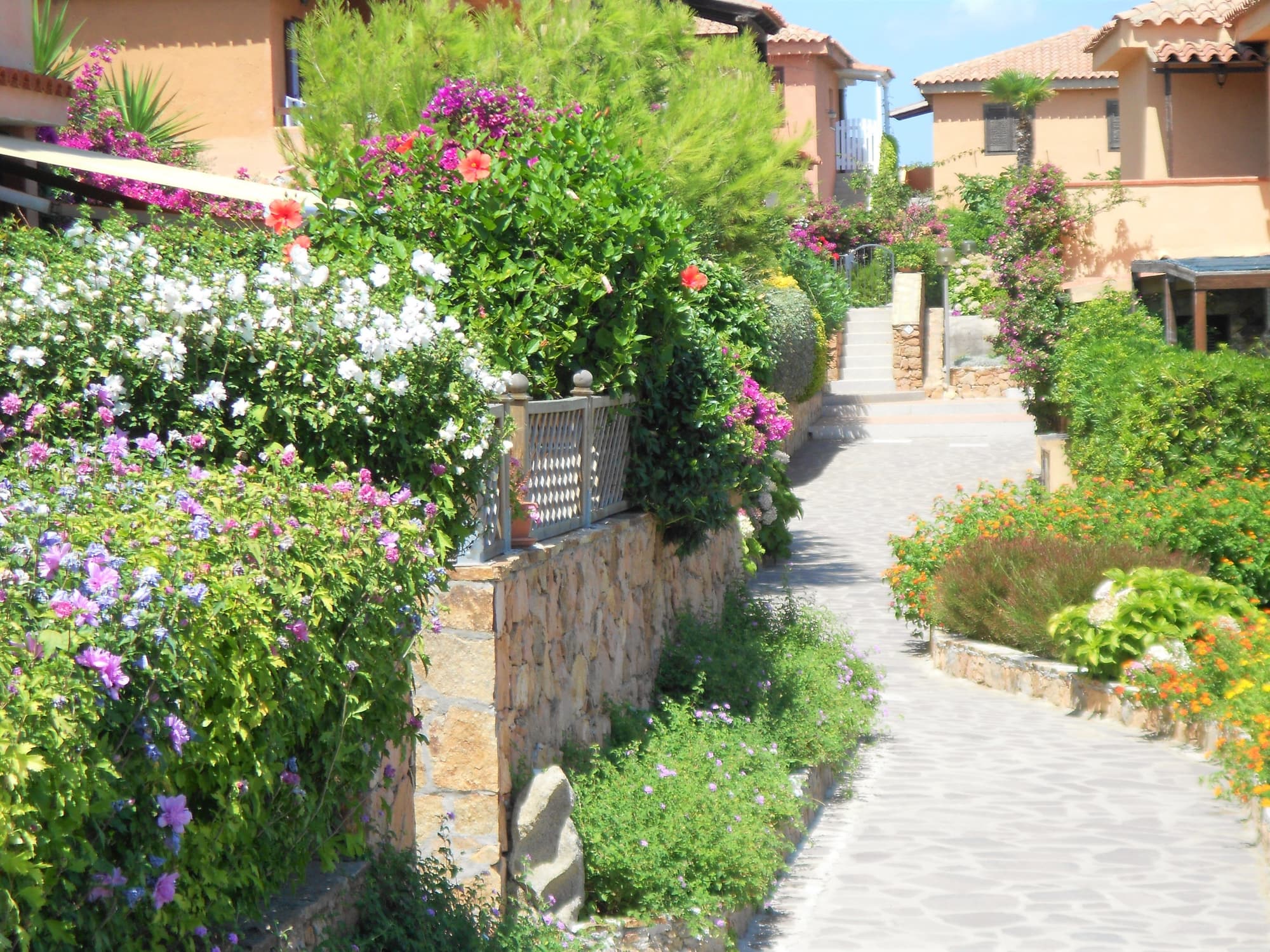 BAIA de BAHAS - Apartments, General view