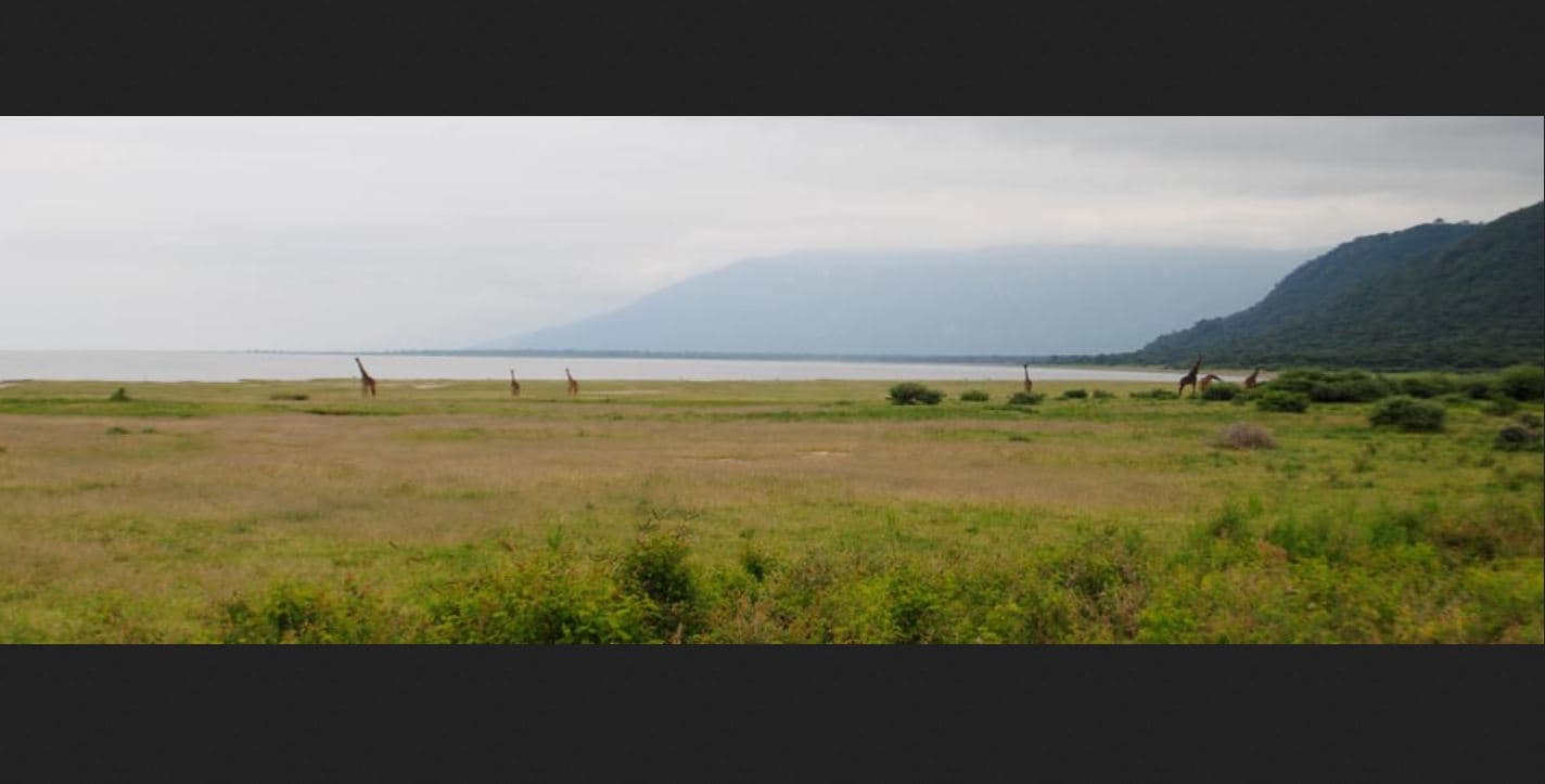 Manyara Wildlife Safari Camp