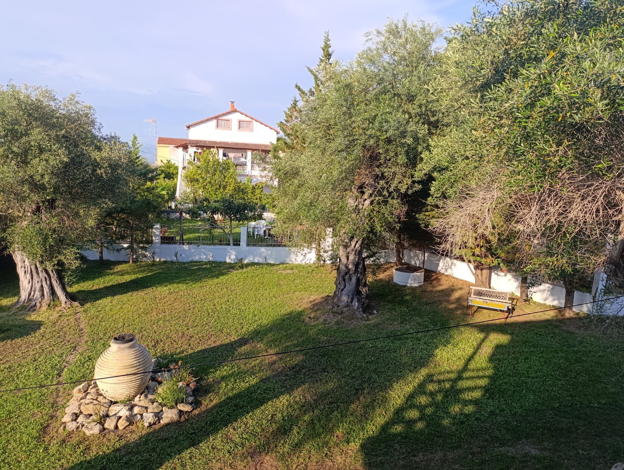 Evergreen Kavos