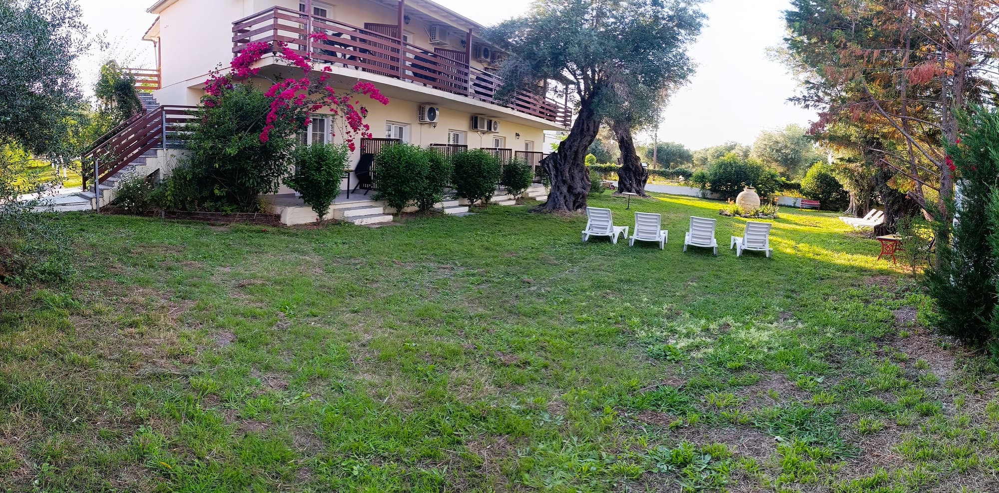 Evergreen Kavos