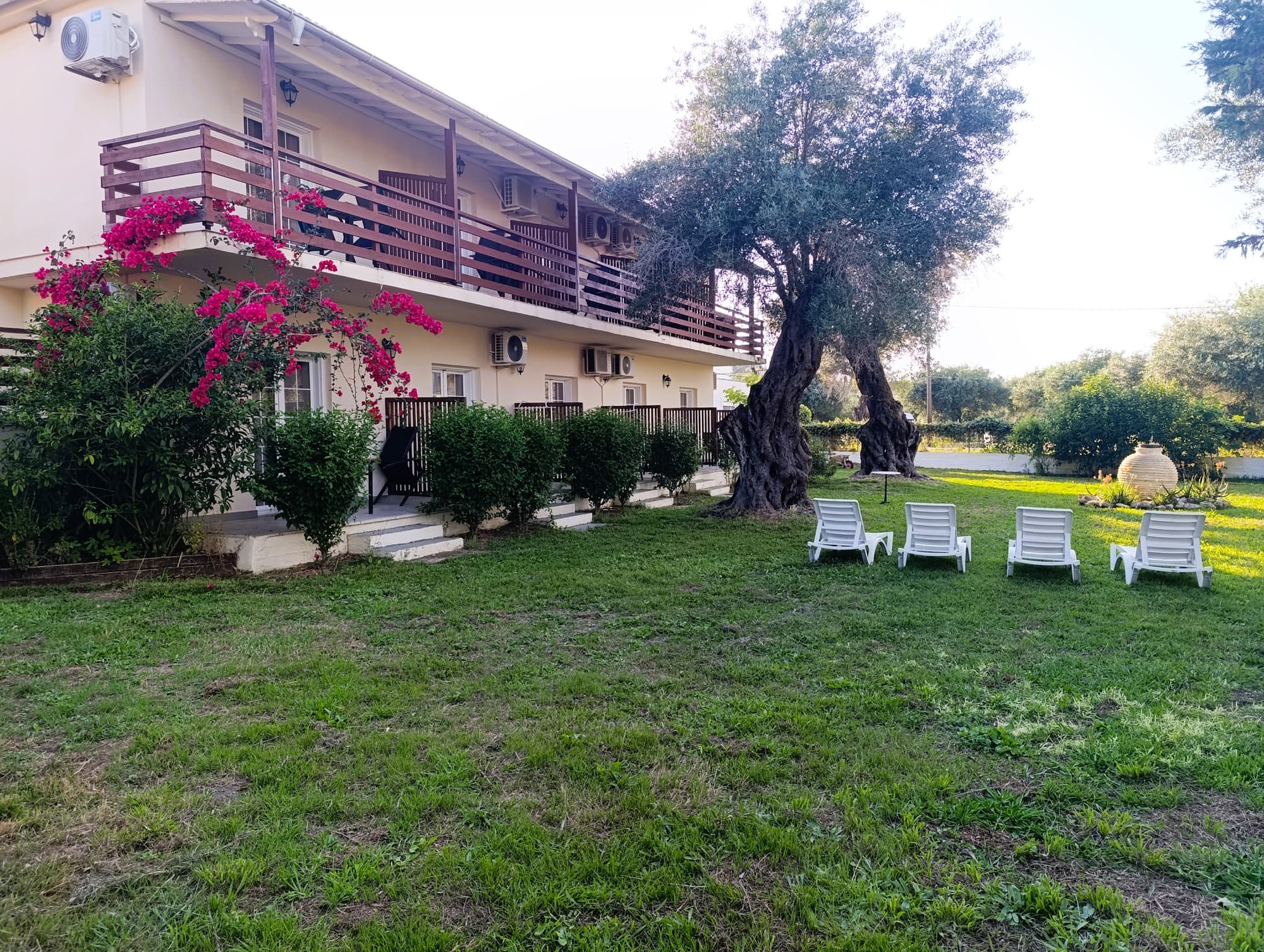 Evergreen Kavos