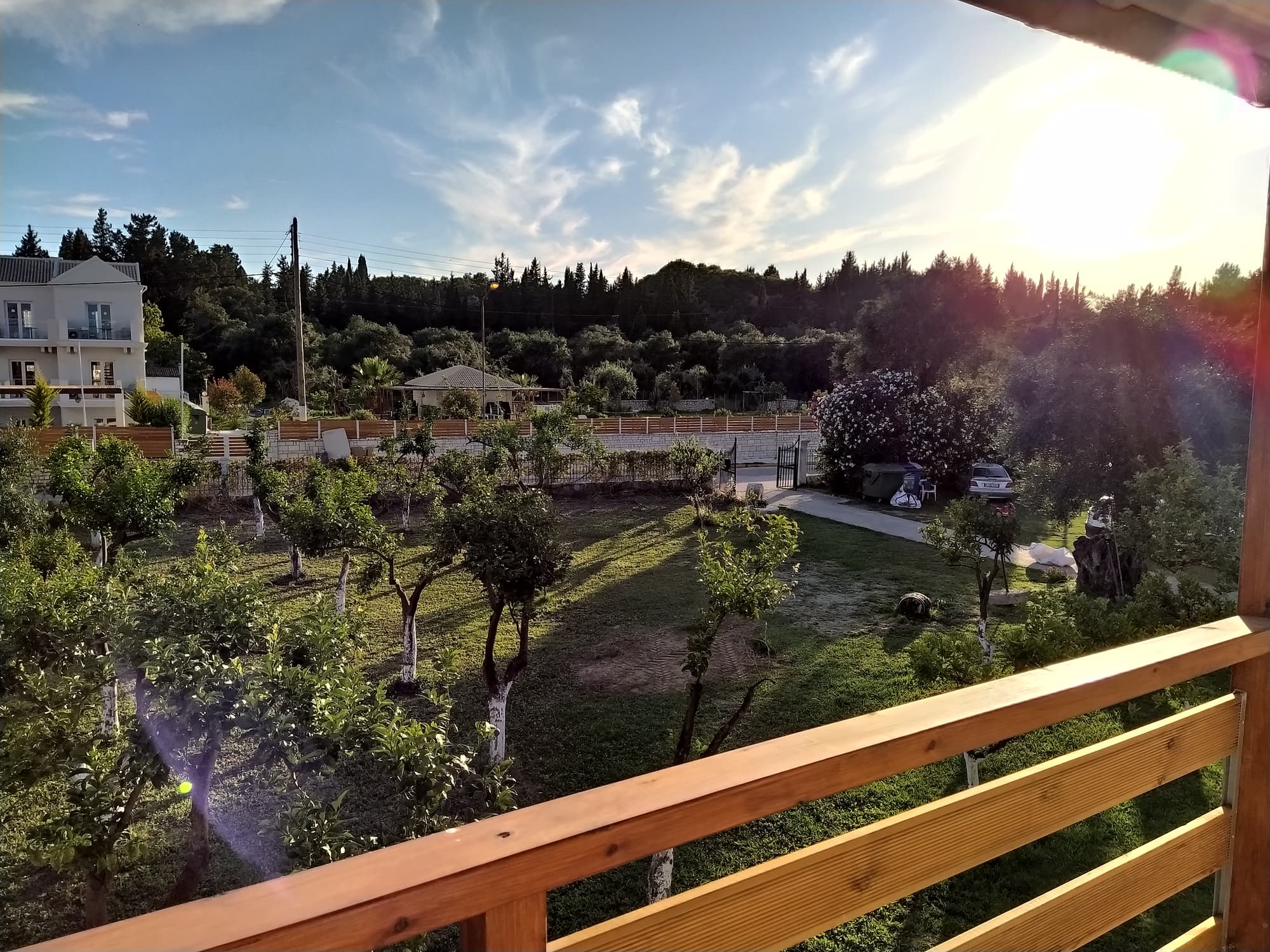 Evergreen Kavos