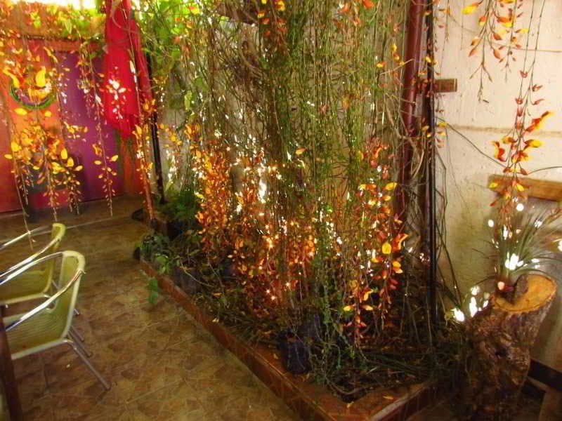 Hotel La Casa de Mamapán