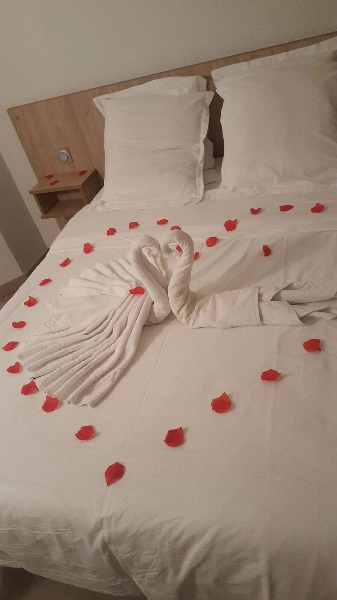 BRIT HOTEL TOULON - Parc Azur