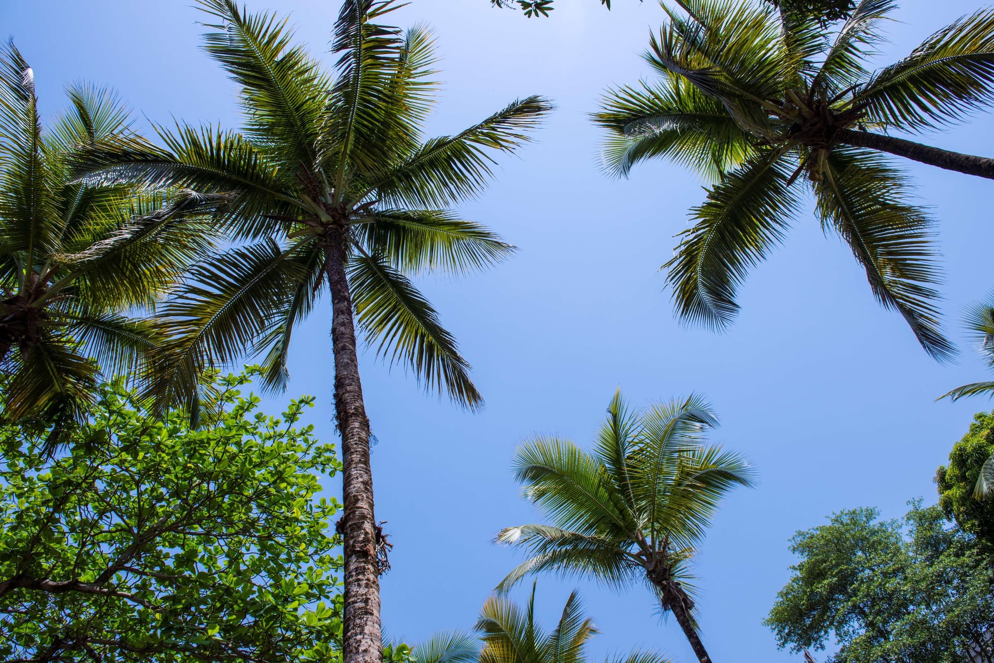 Radisson Blu Mammy Yoko Hotel