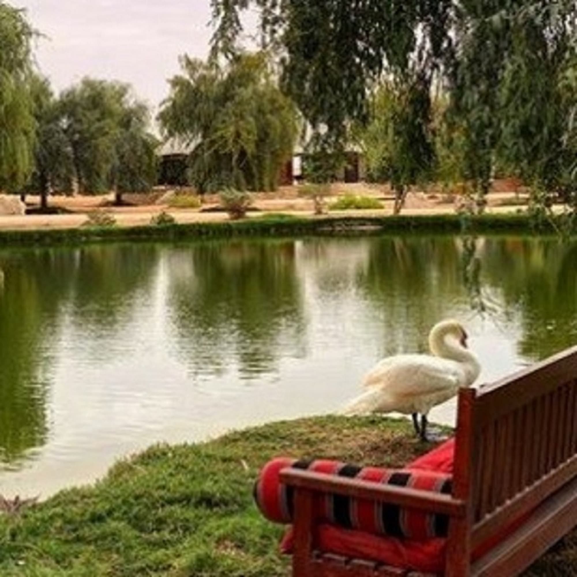 Telal Resort Al Ain