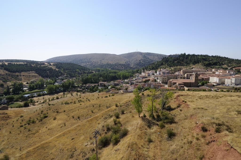 Hotel Leonor Miron