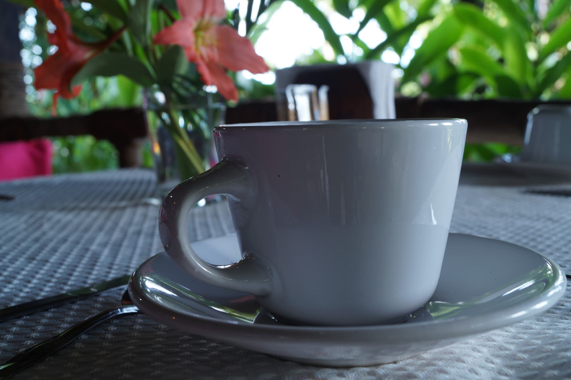 Hotel La Aldea del Halach Huinic, Restaurant