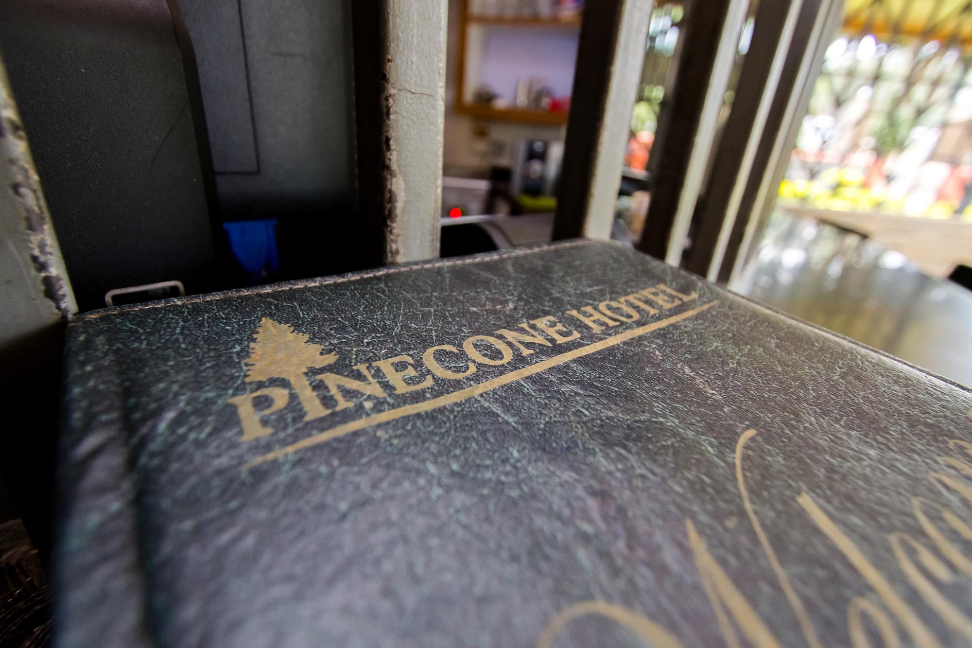 Pinecone Hotel, Bar