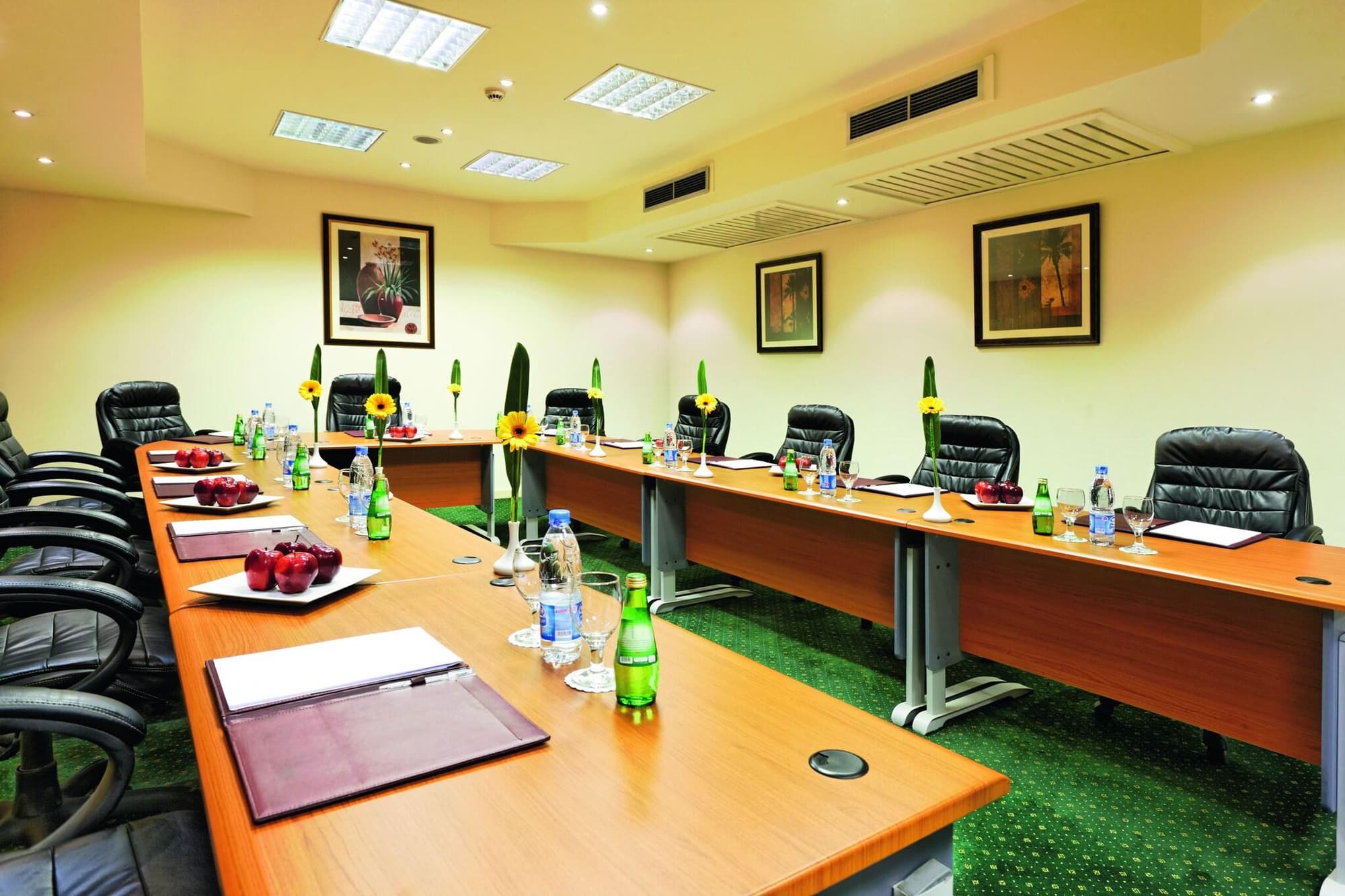 Cairo Pyramids Hotel