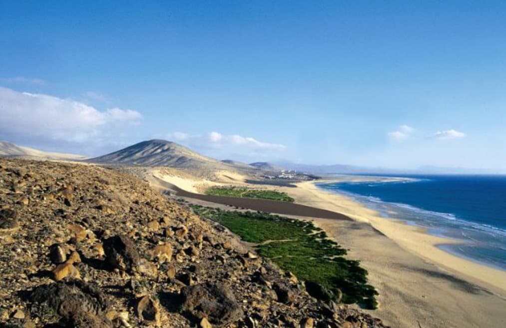 Fergus Cactus Garden