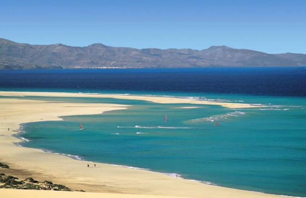 Fergus Cactus Garden