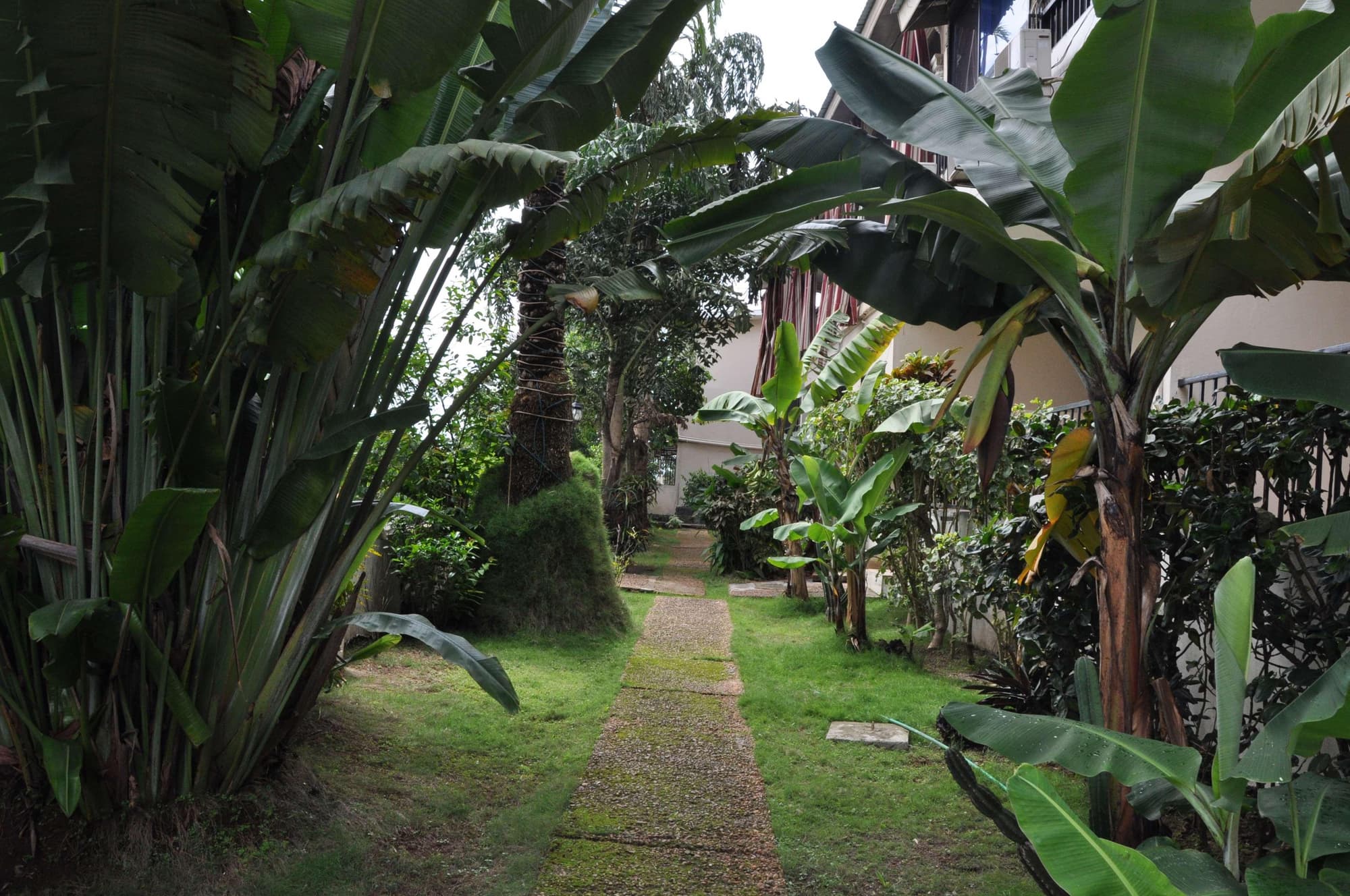 The Country Lodge Complex