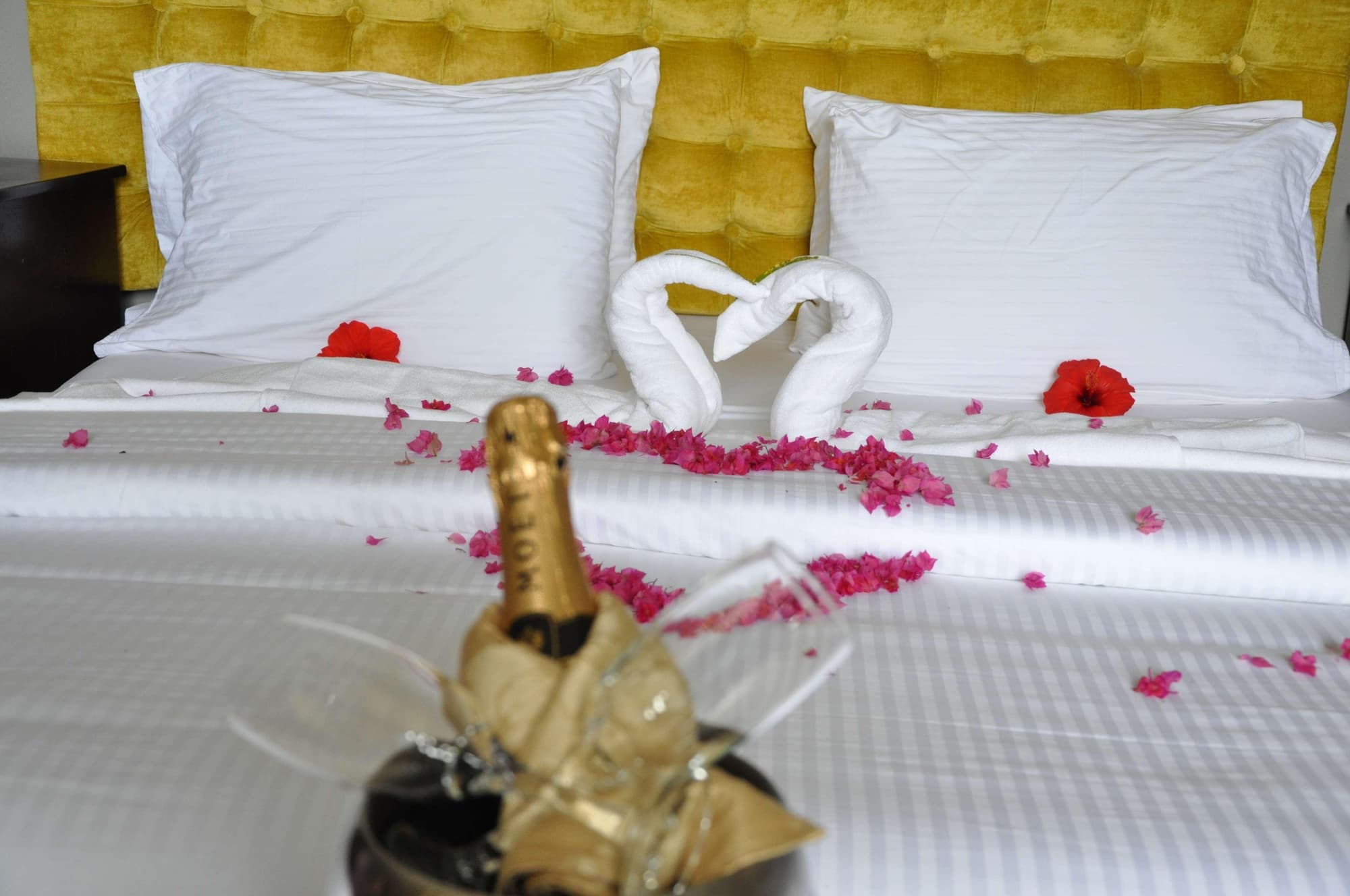 The Country Lodge Complex