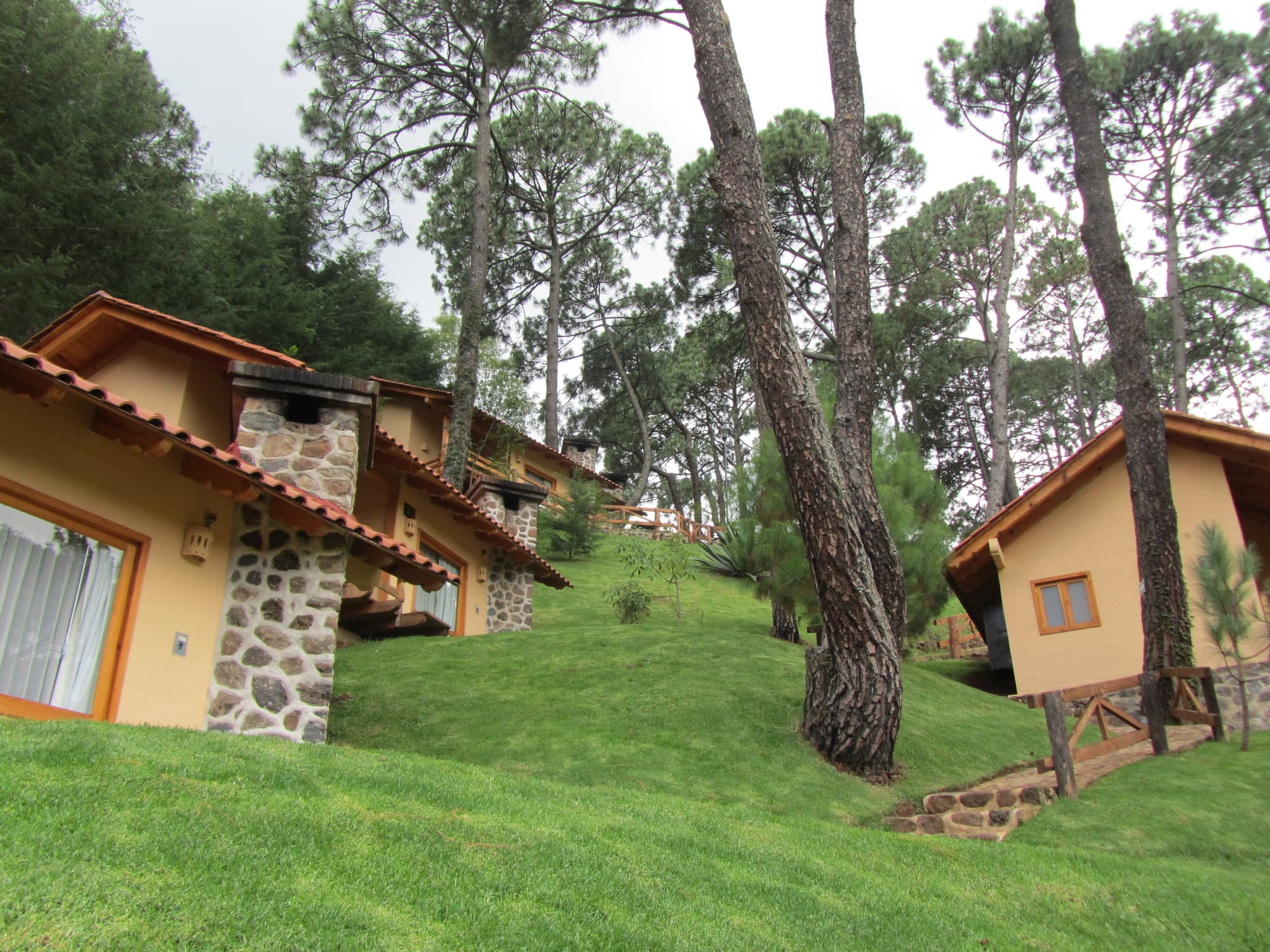Bosque Escondido
