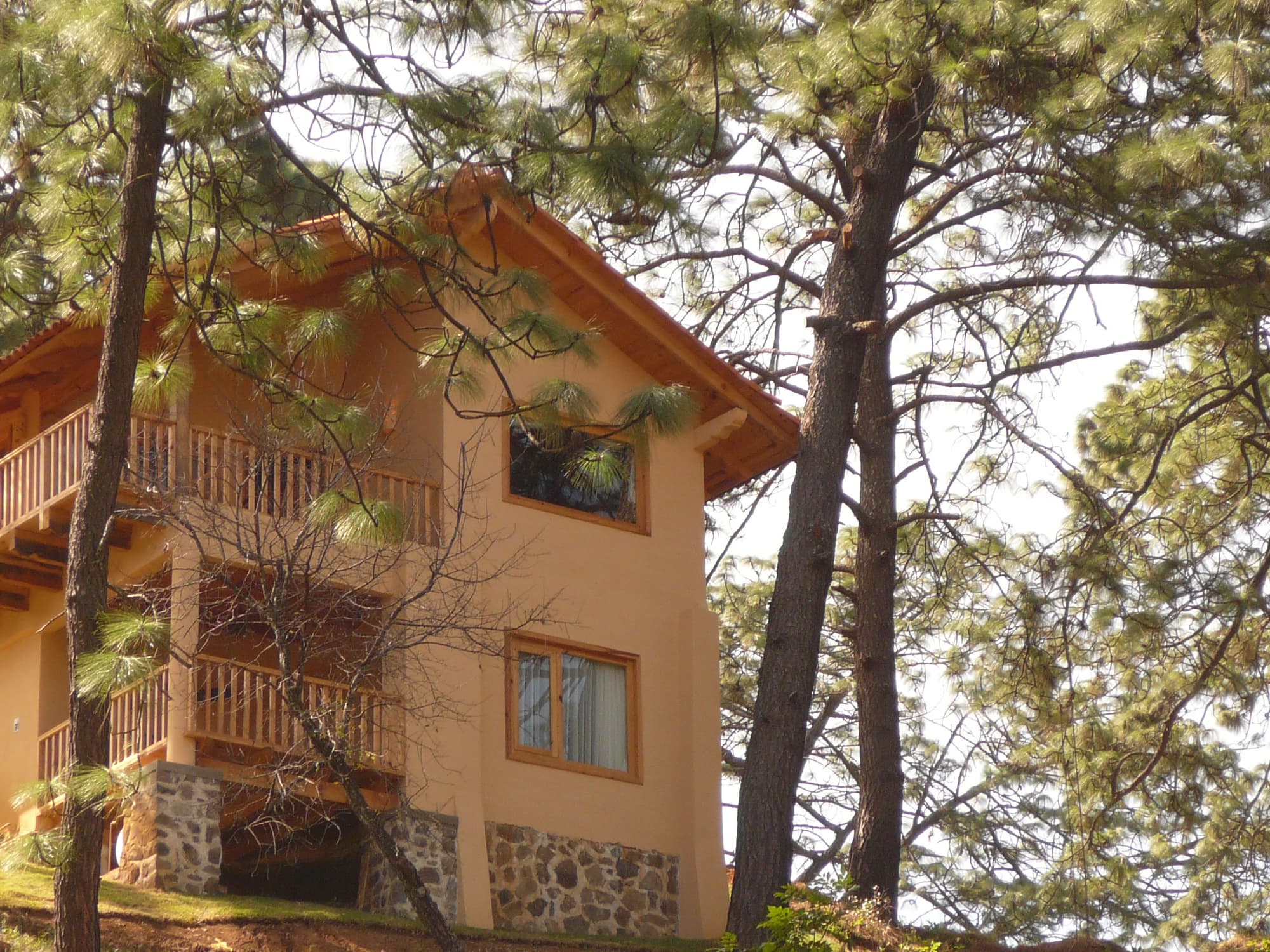 Bosque Escondido