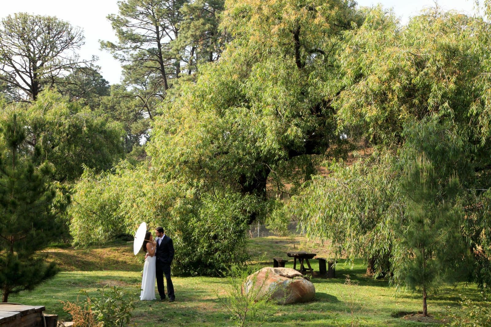 Bosque Escondido